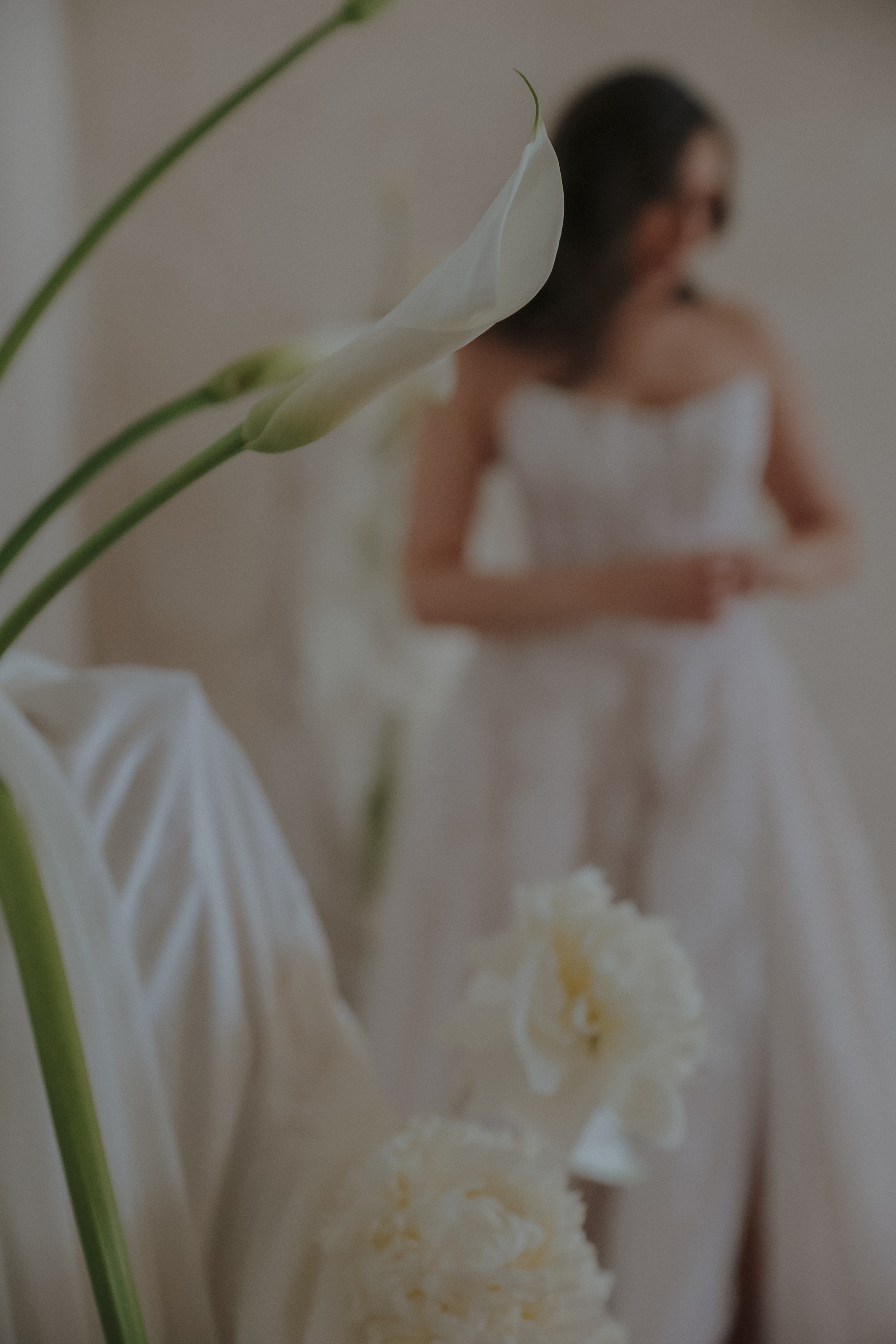 Individual. Couple photographer in Chicago