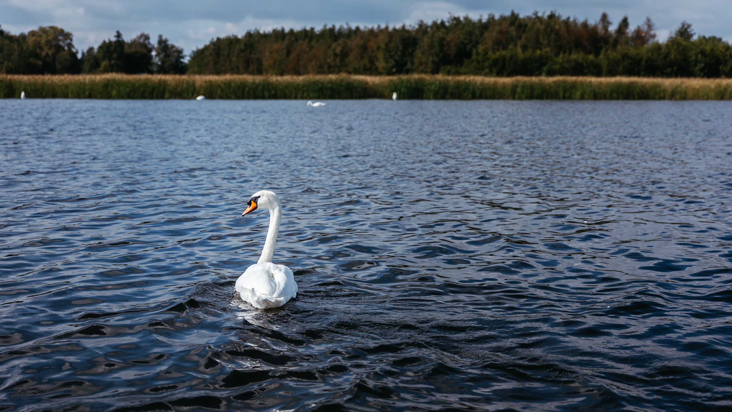 Olanda. Marius Ciocan