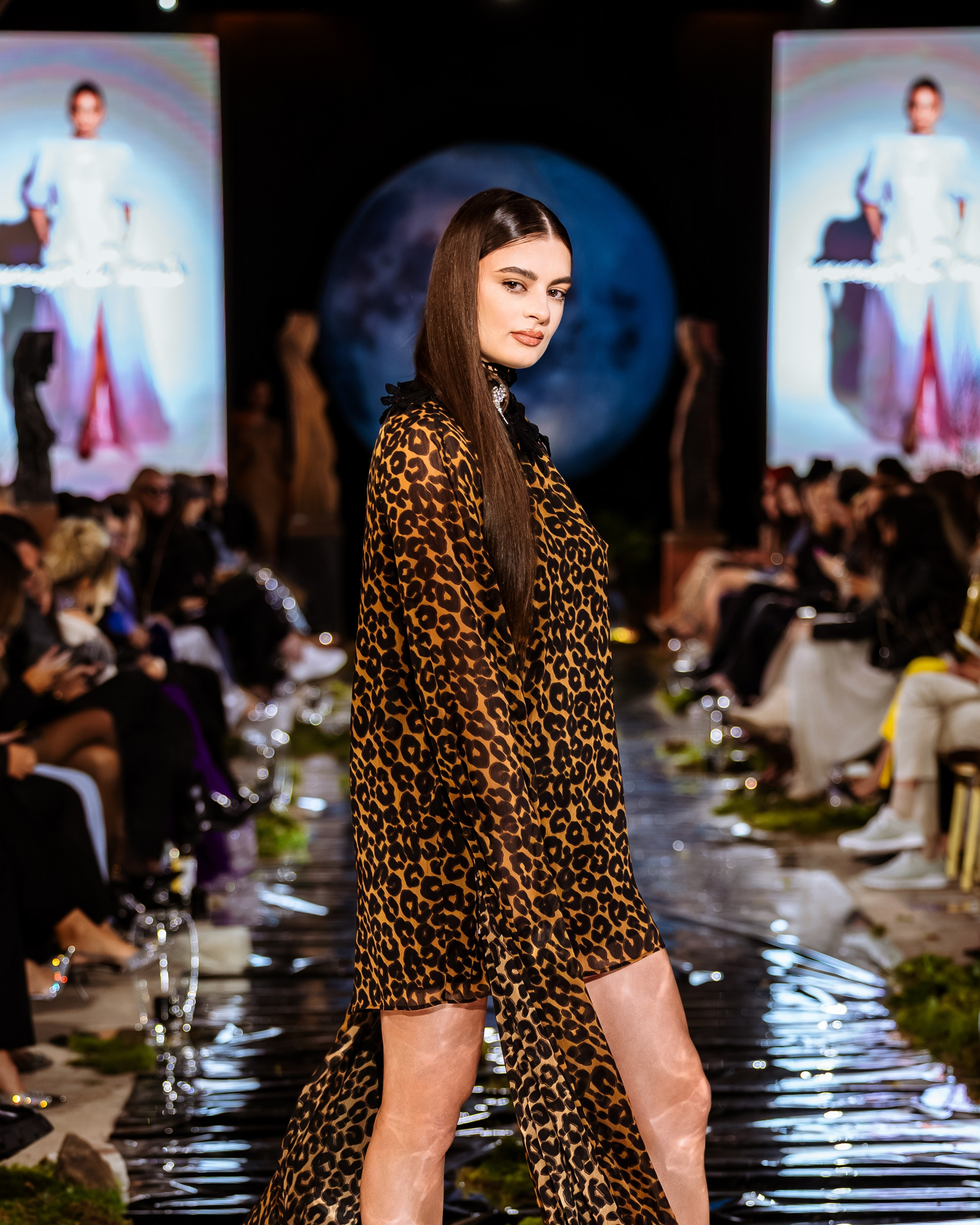 Prive. Marius Ciocan