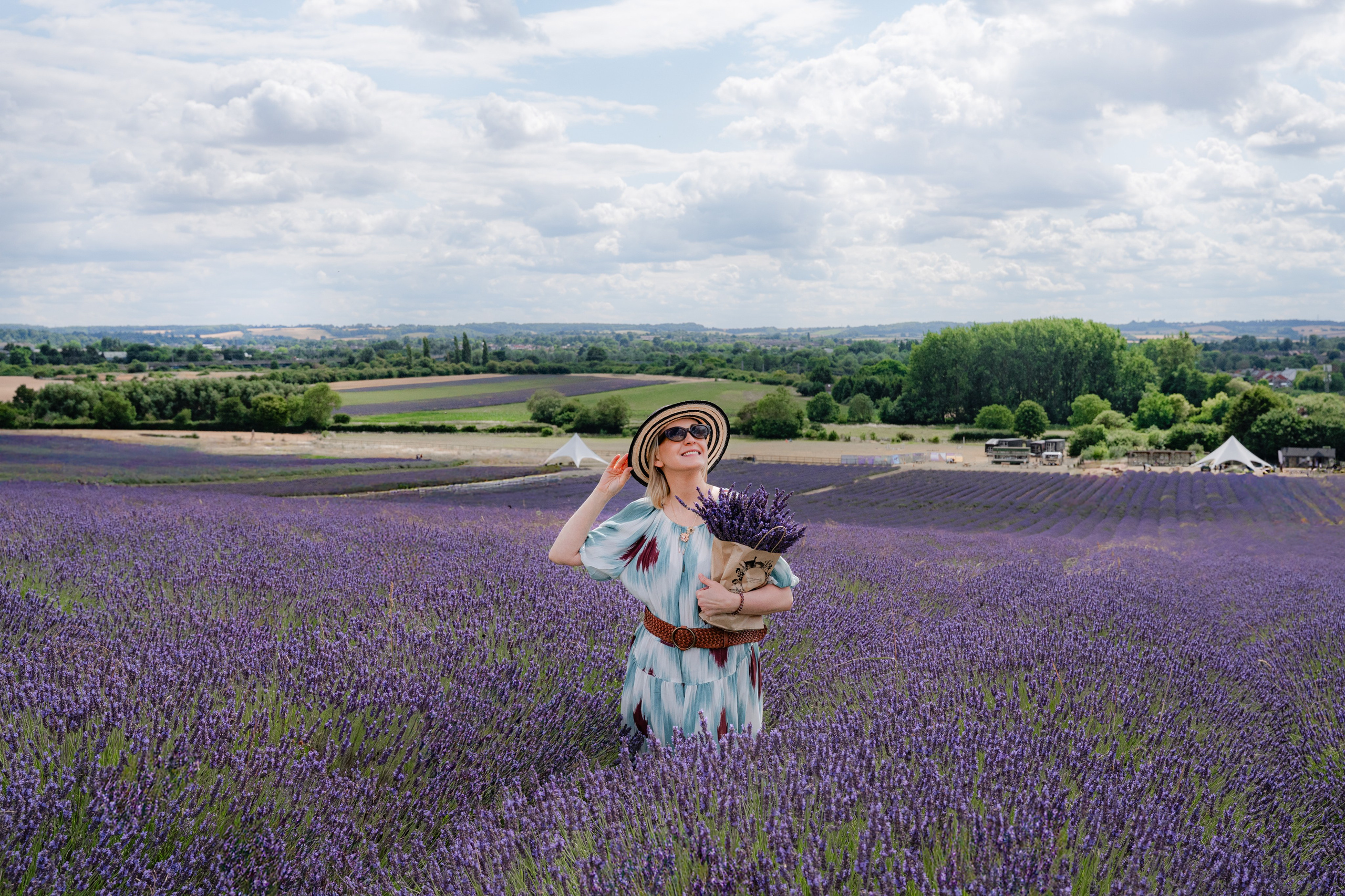 Lavender. Tonya Kyrylenko photographer in London