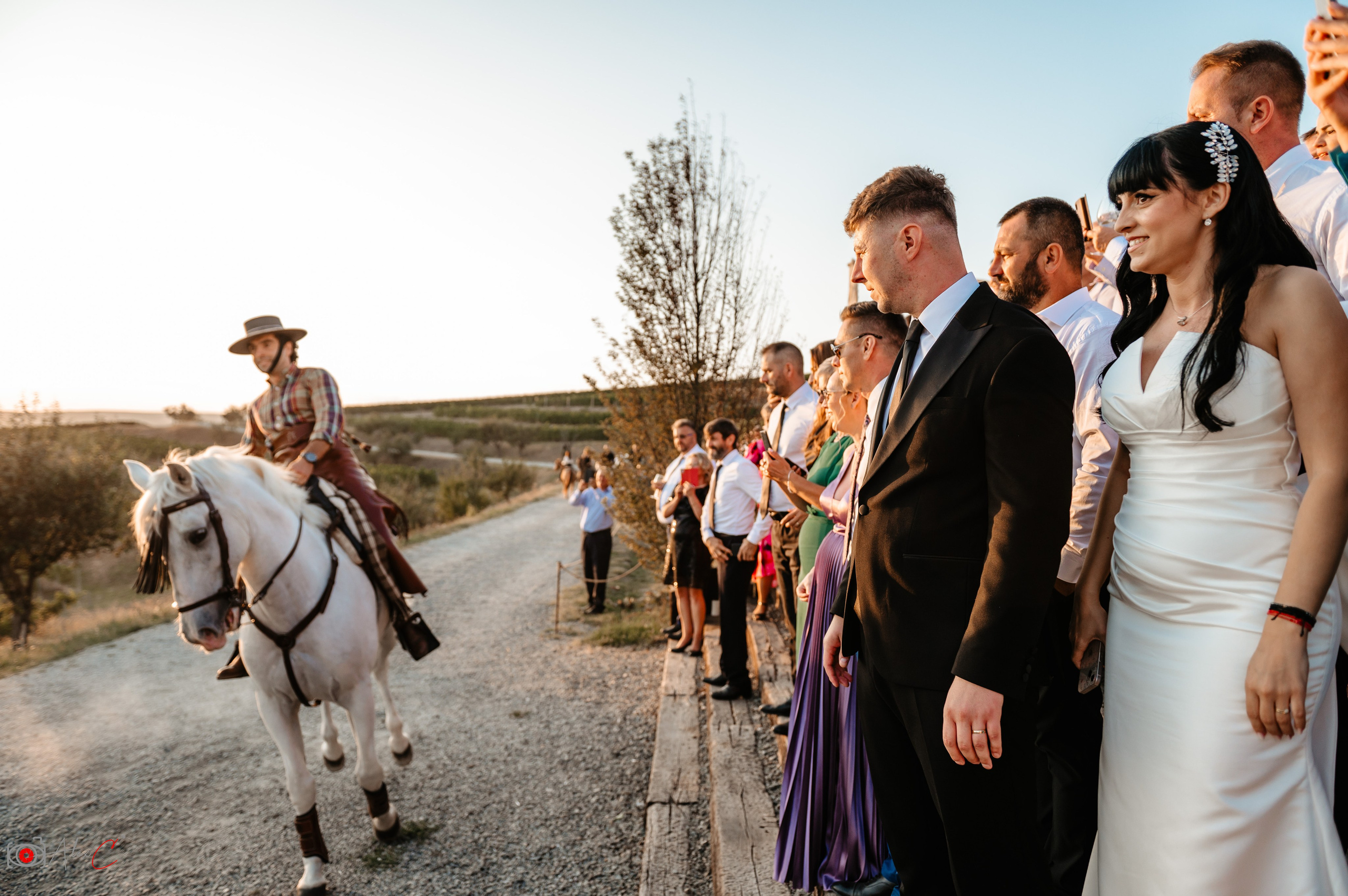 Monica & Dan. Fotograf de evenimente