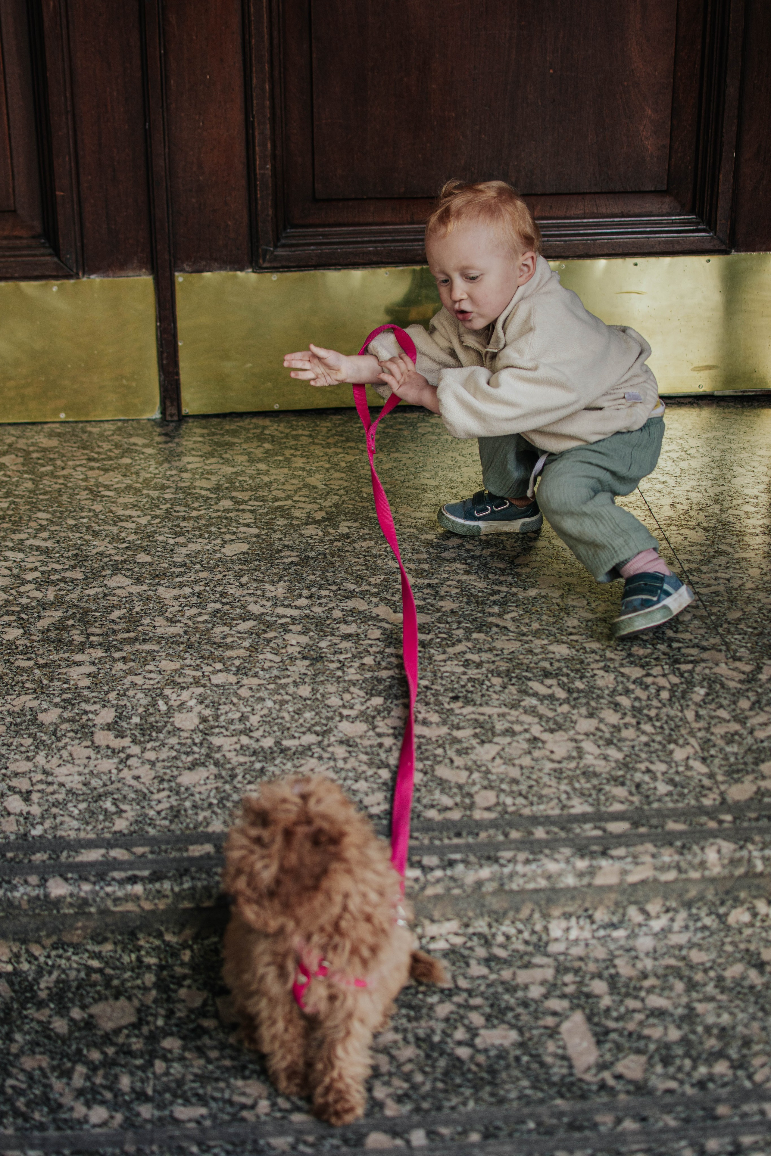 Walking around the home. Buenos Aires. Photography. Photographer @elmirkami in the city of Buenos Aires