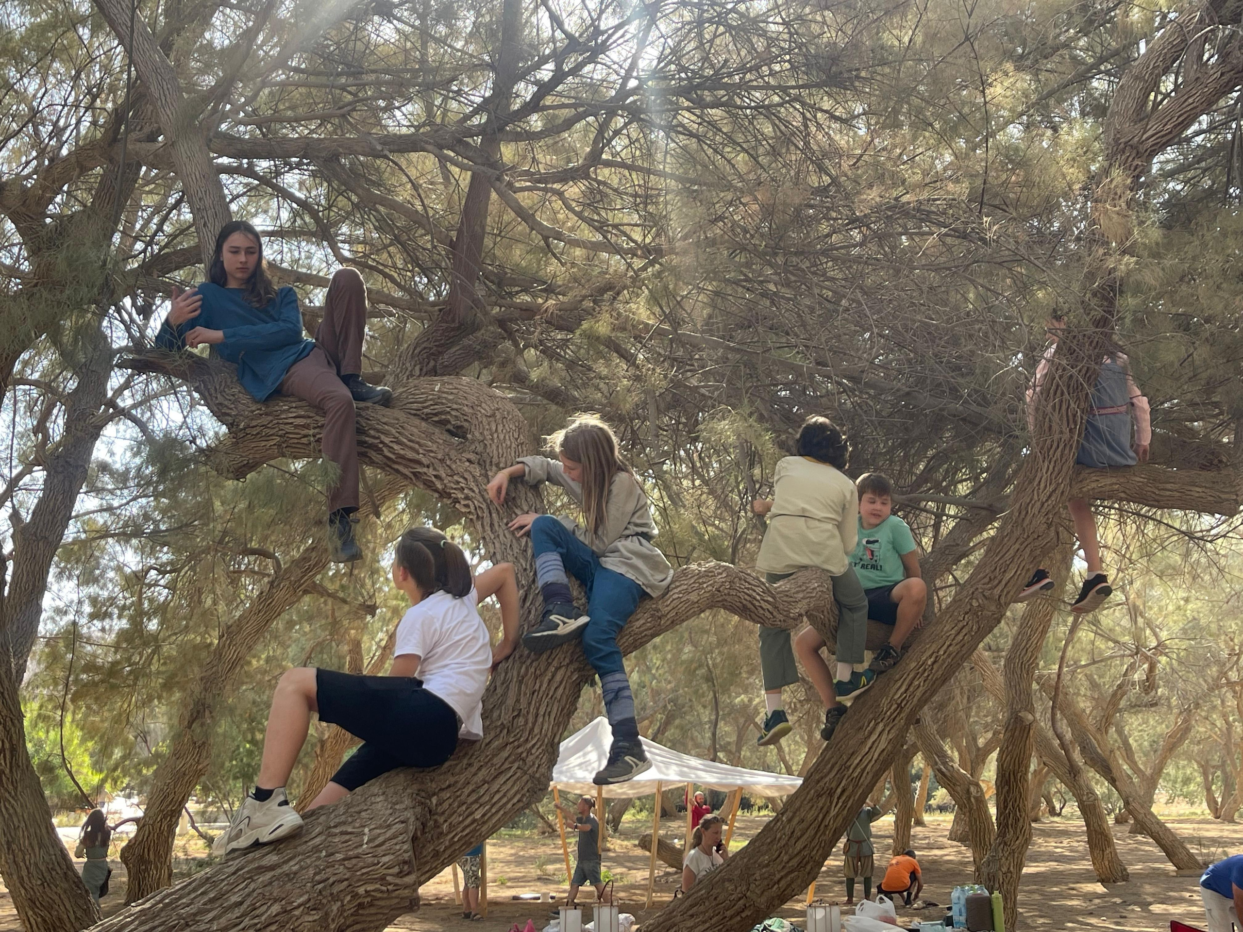 Лита 2024 — фестиваль реконструкции викингов | Клуб Нортман. КРиС «Нортман»