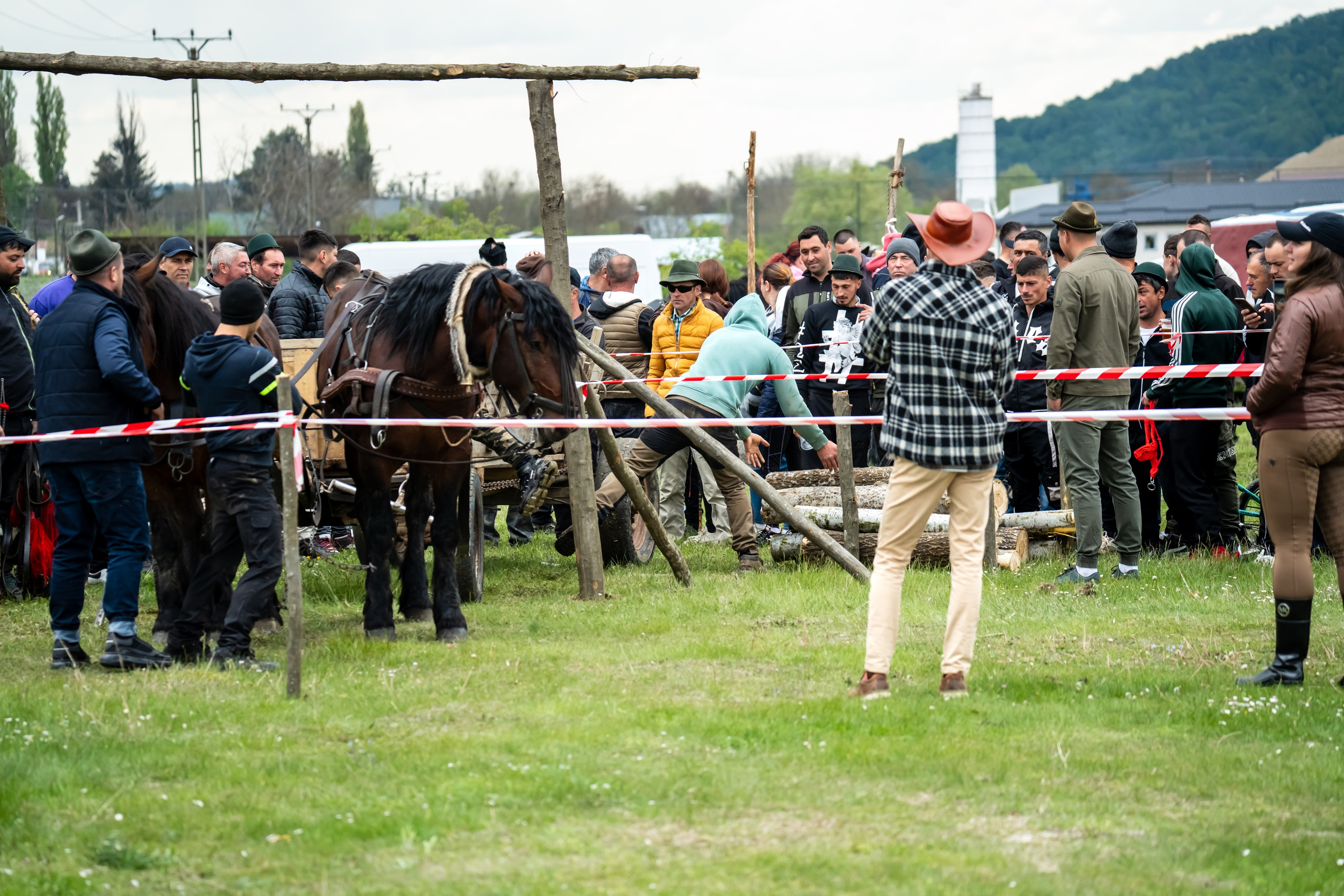 Concurs Ecvestru Vărbilău ediția a 4-a. Mihai Alexandra Events