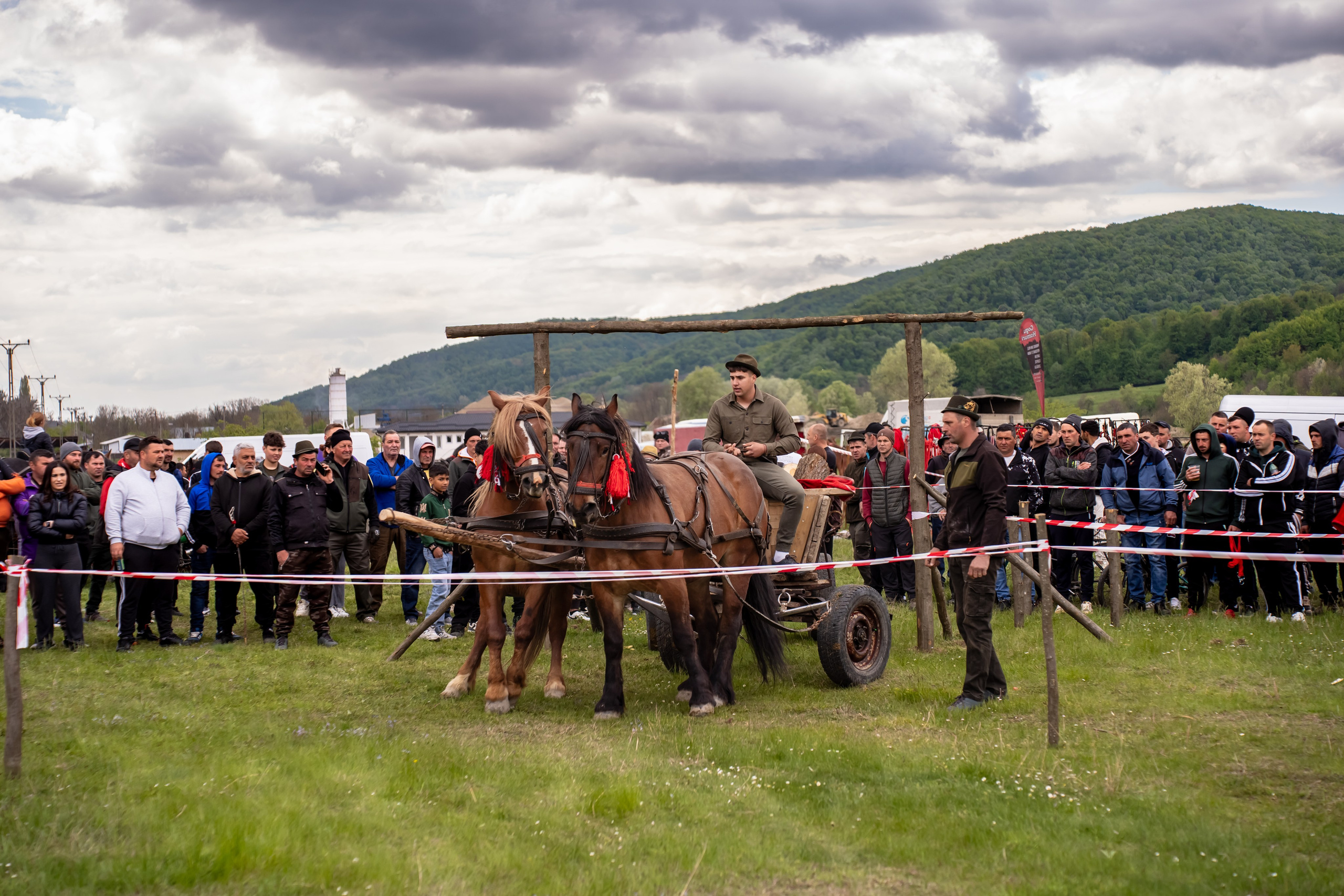 Concurs Ecvestru Vărbilău ediția a 4-a. Mihai Alexandra Events