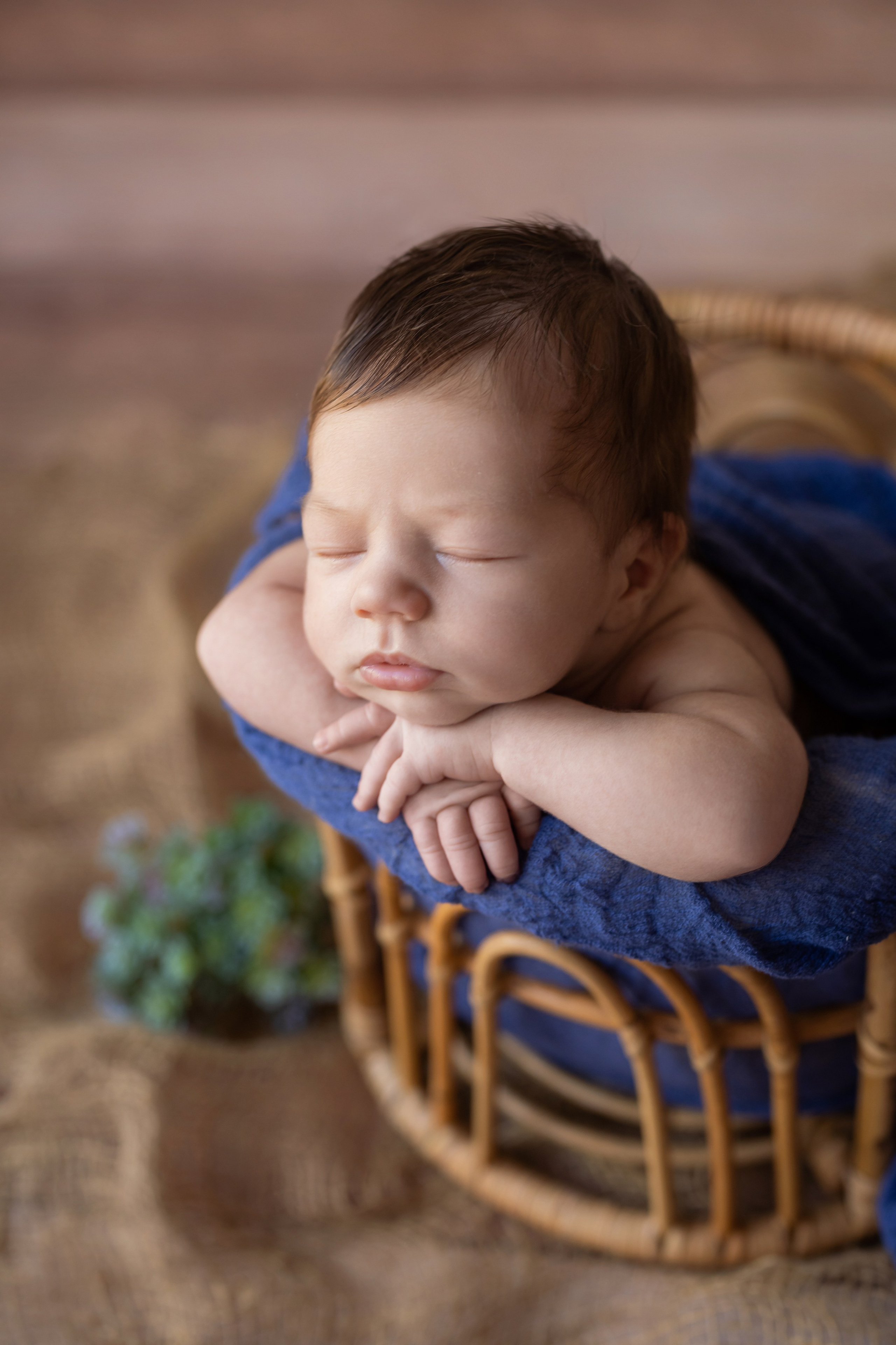Nounascuti. Fotograf de familie la Ungheni și Reggio-Emilia, Alessia Slivca