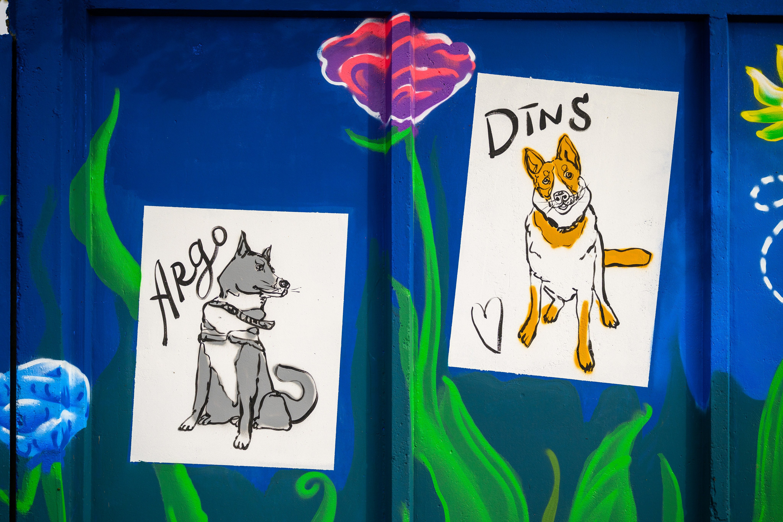 Rēzeknes dzīvnieku patversmes izglesnotās sienas atklāšana. Ritvars Pujats Emotion Photographer