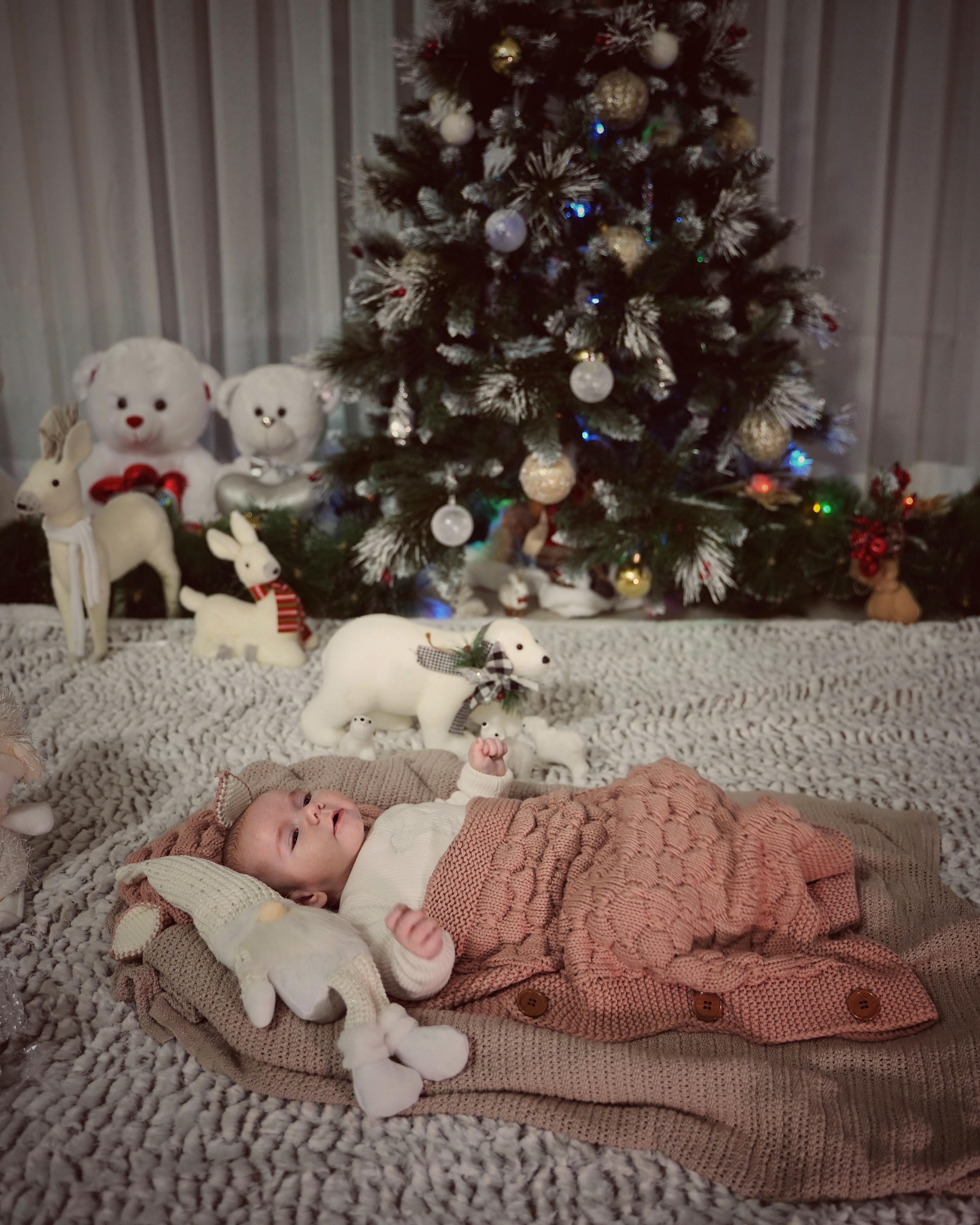 Рождественское чудо. Фотограф. Визуал. Хайфа. Талья Цветкова