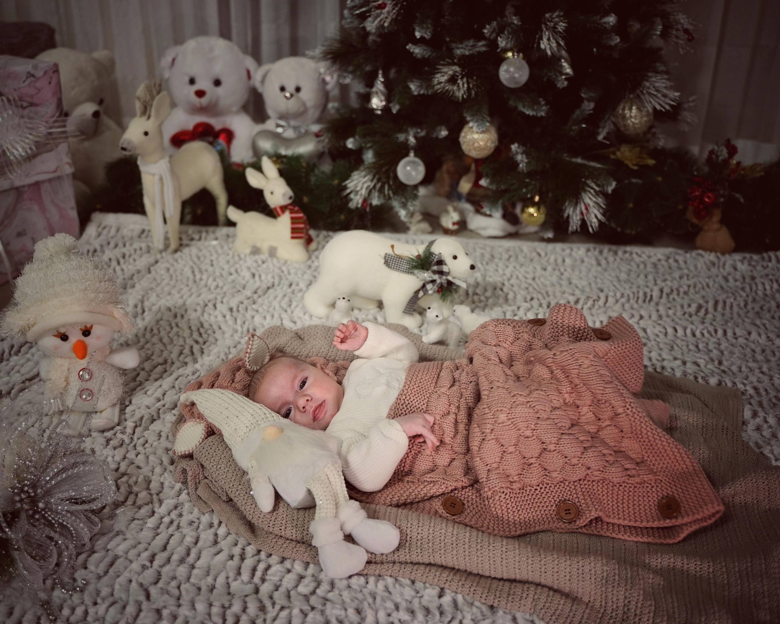 Рождественское чудо. Фотограф. Визуал. Хайфа. Талья Цветкова