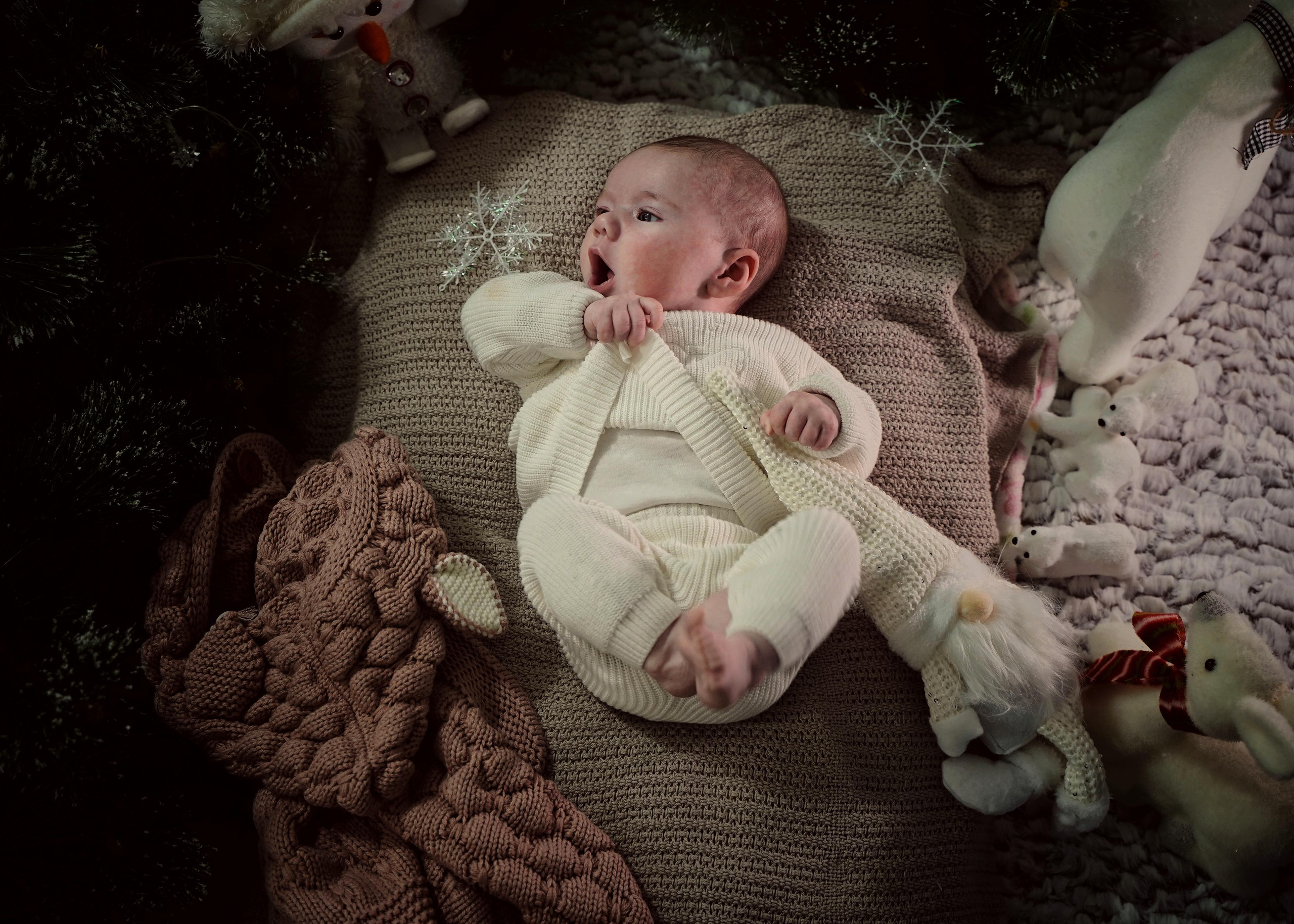 Рождественское чудо. Фотограф. Визуал. Хайфа. Талья Цветкова