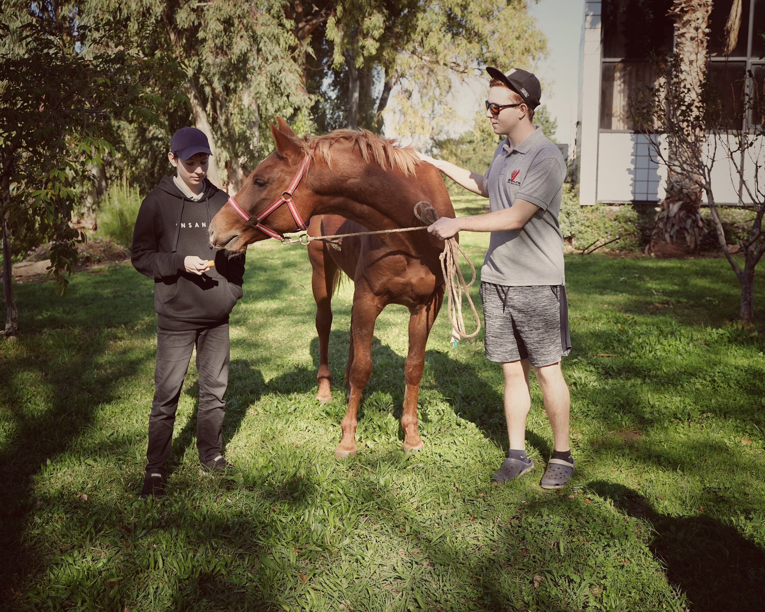 Школьные годы | הבית ספר שלי. Фотограф. Визуал. Хайфа. Талья Цветкова