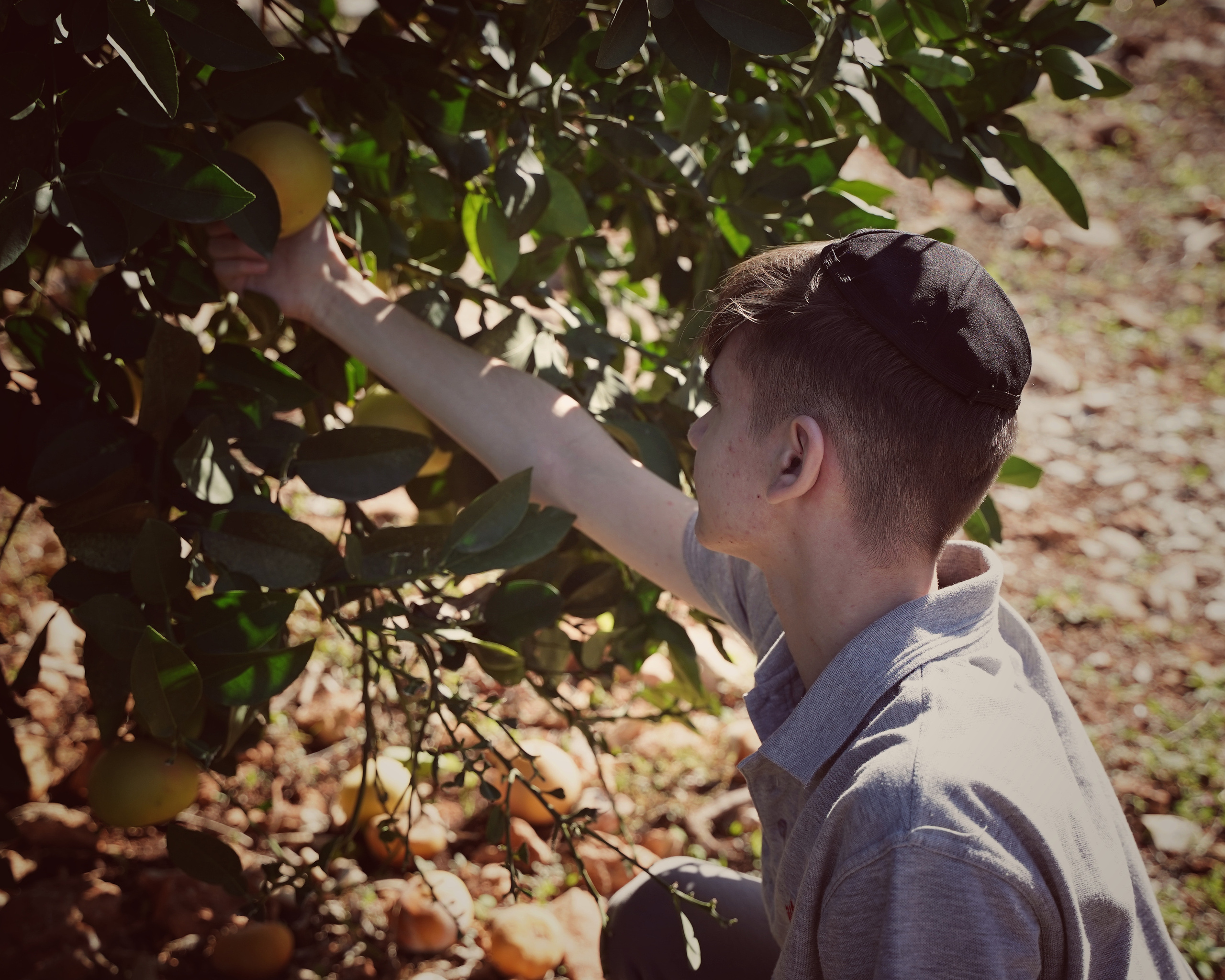 Школьные годы | הבית ספר שלי. Фотограф. Визуал. Хайфа. Талья Цветкова