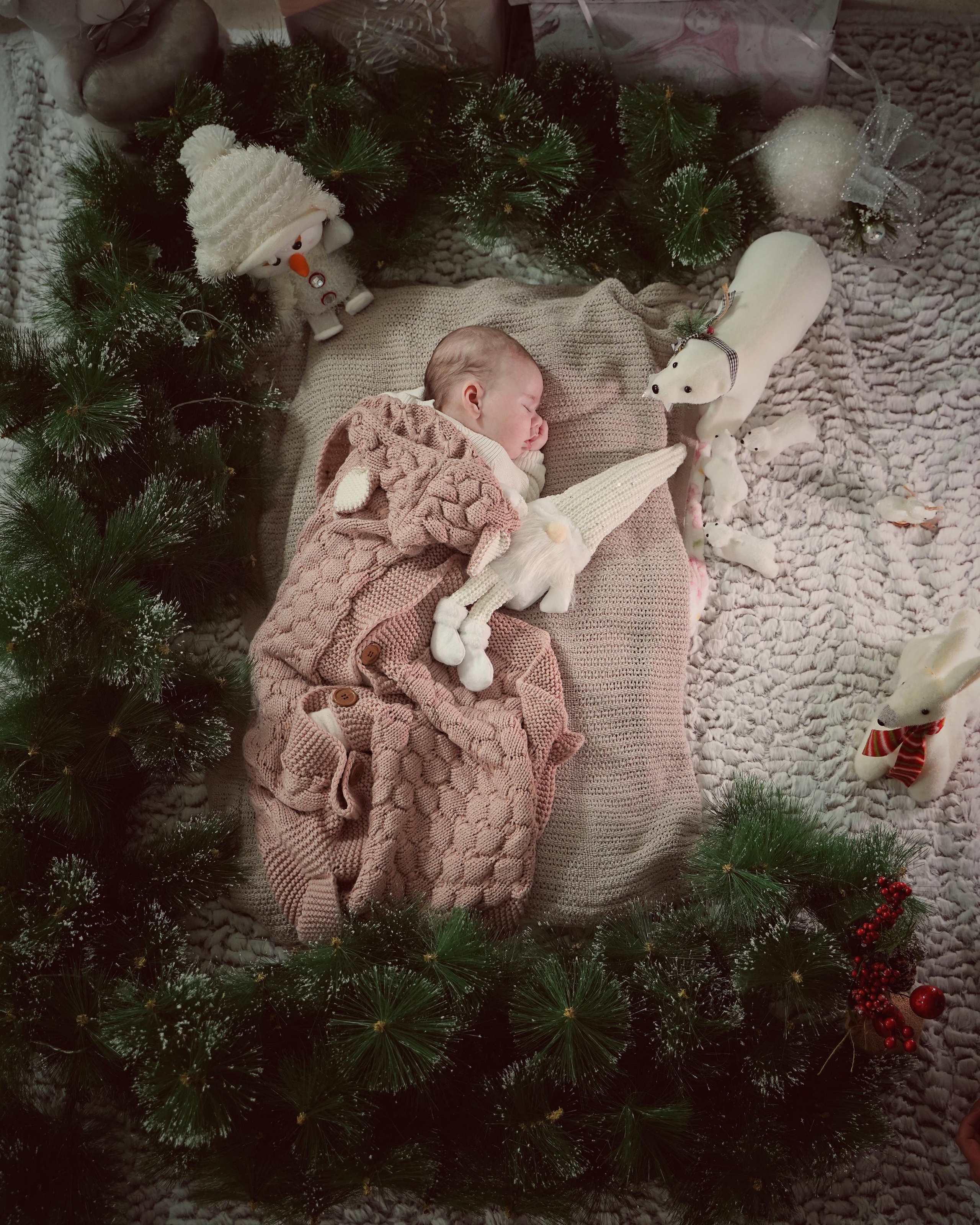 Рождественское чудо. Фотограф. Визуал. Хайфа. Талья Цветкова