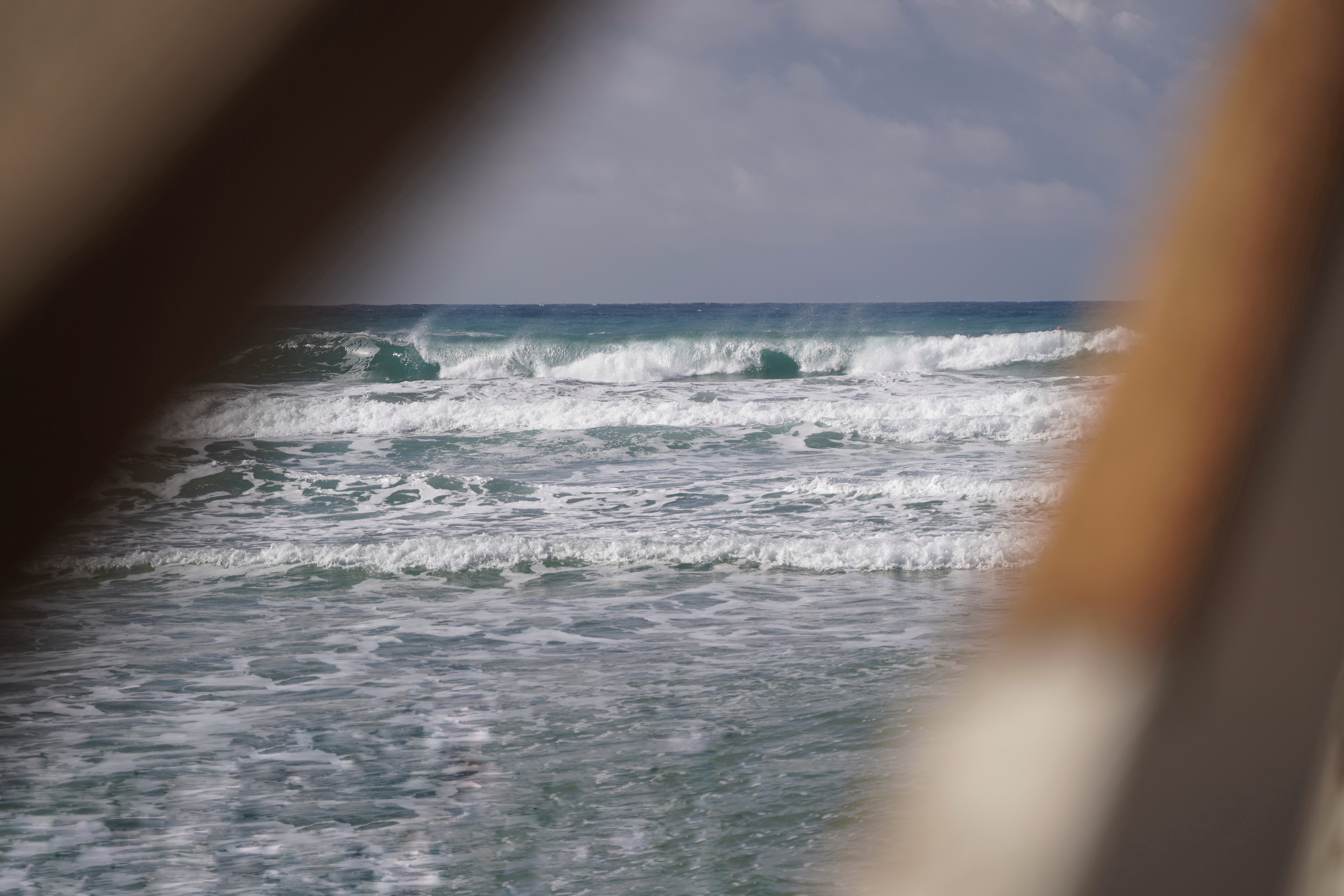 Ковбои. Фотограф. Визуал. Хайфа. Талья Цветкова