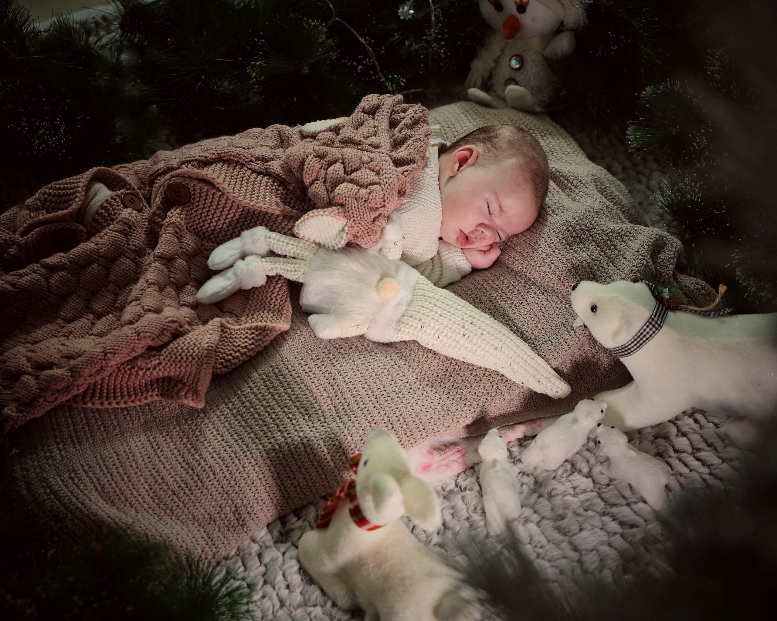 Рождественское чудо. Фотограф. Визуал. Хайфа. Талья Цветкова