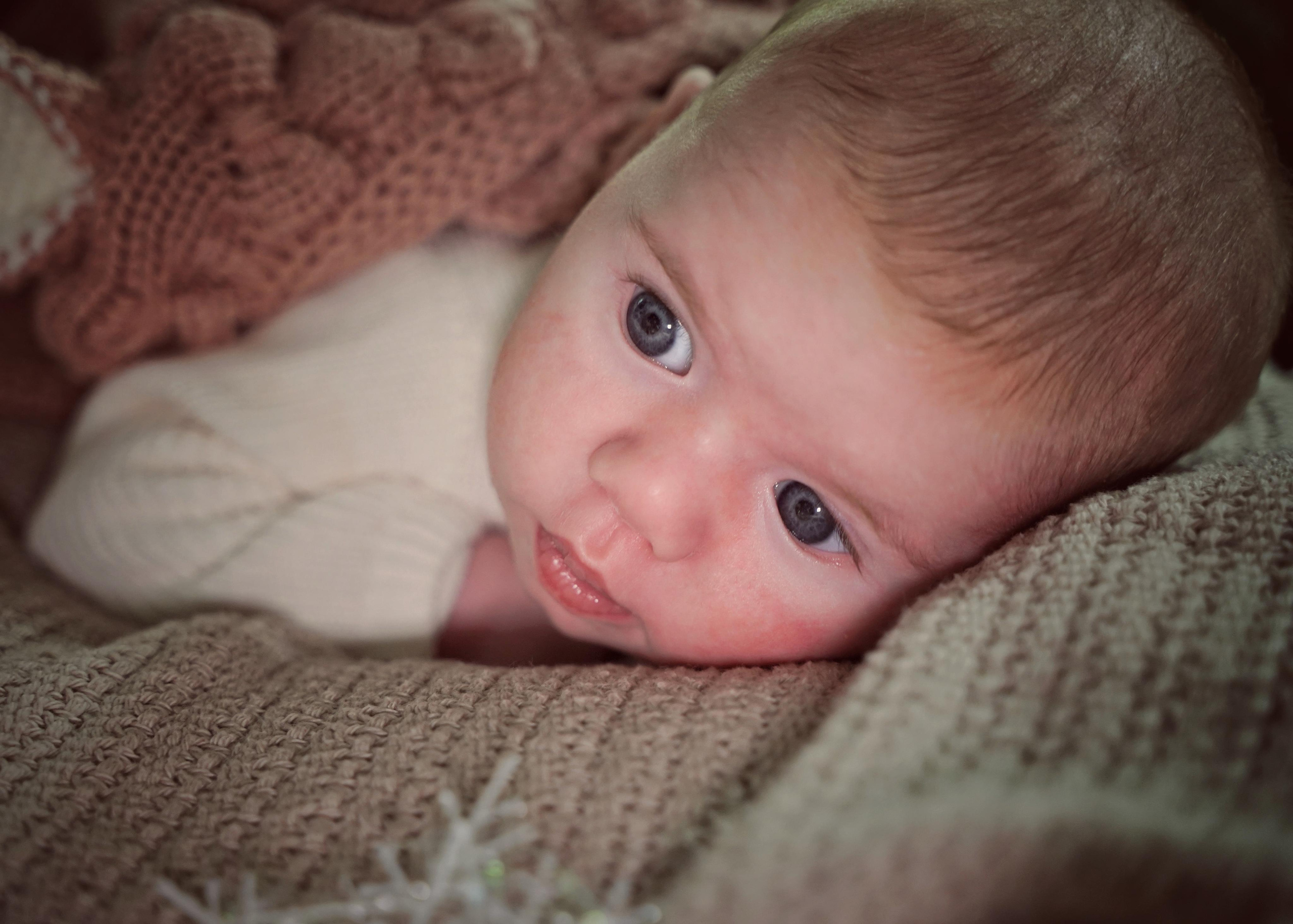 Рождественское чудо. Фотограф. Визуал. Хайфа. Талья Цветкова