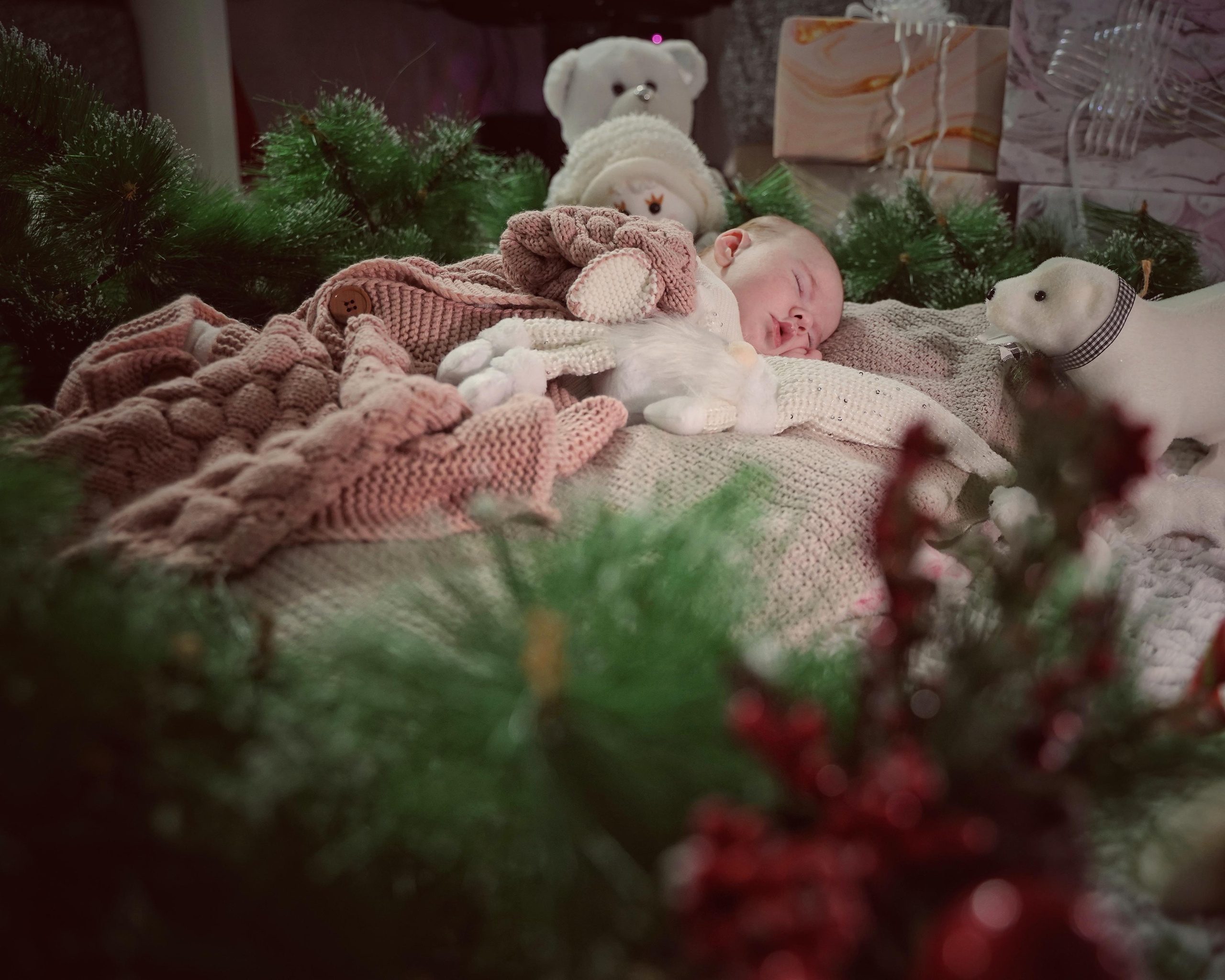 Рождественское чудо. Фотограф. Визуал. Хайфа. Талья Цветкова