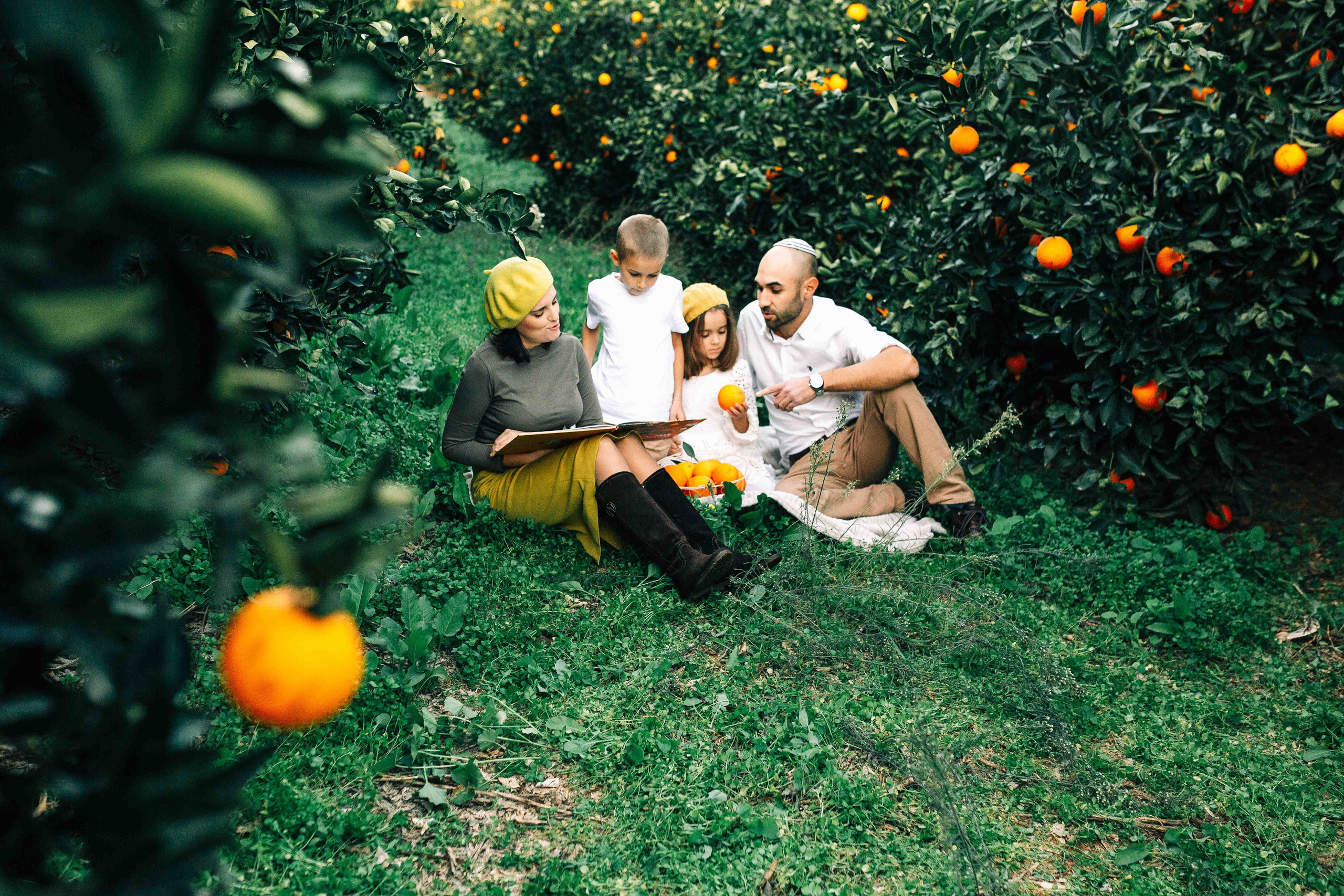 MANDARNINE GARDEN. Https://shi-photo.com/