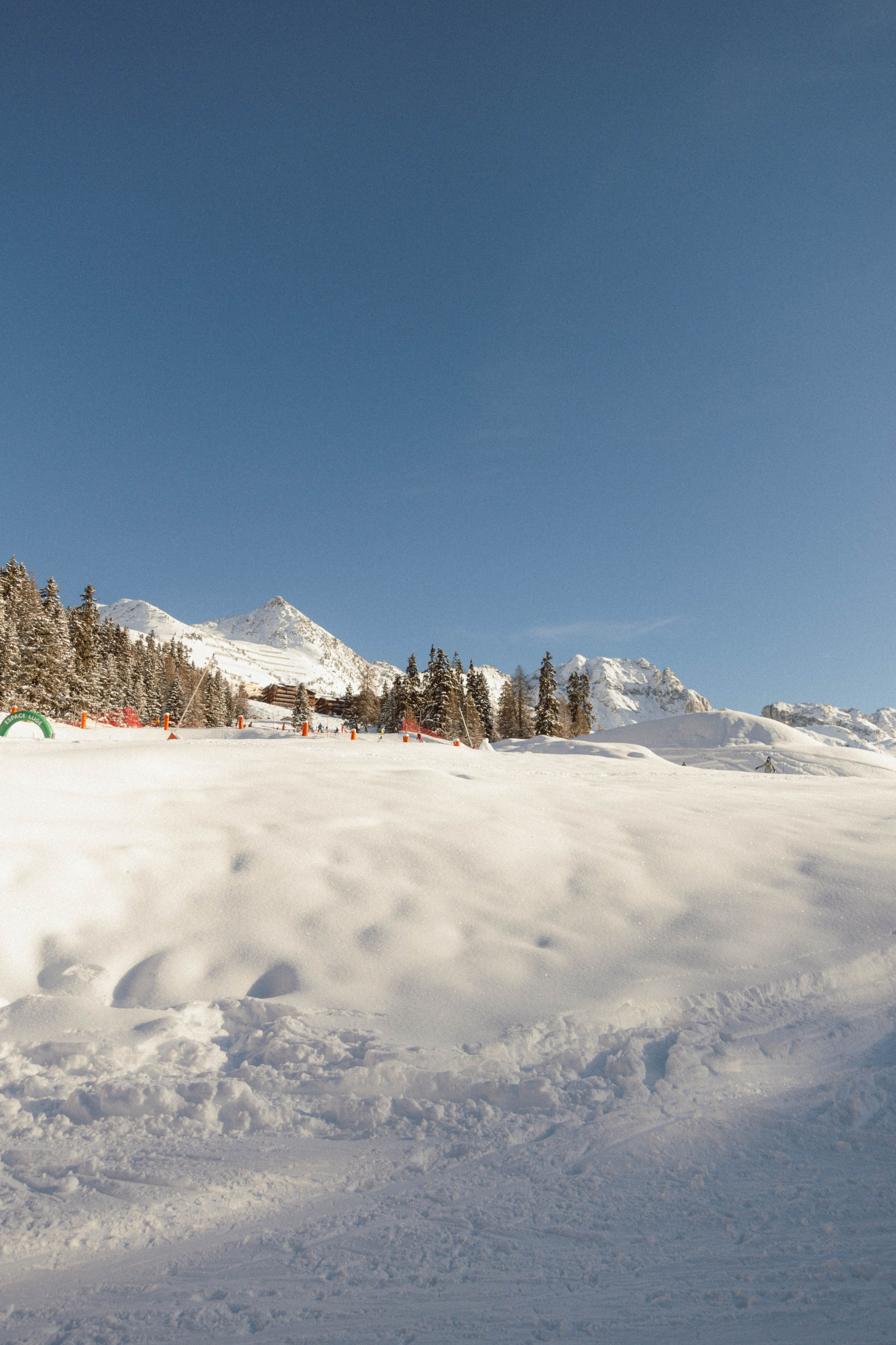 Ski. Weeding photographer / event / portrait