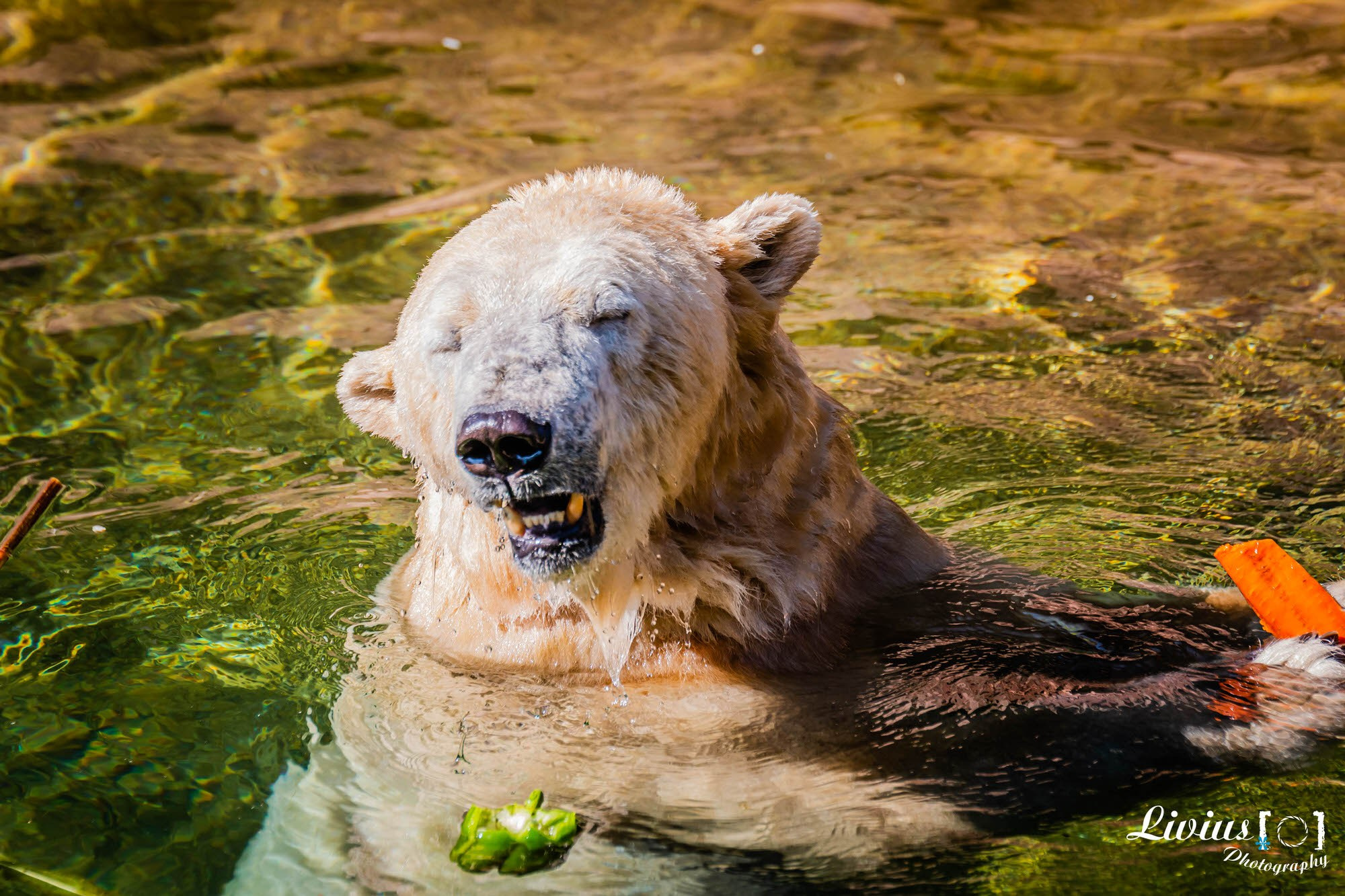 Tierpark Nürnberg. FOTO KREATIV