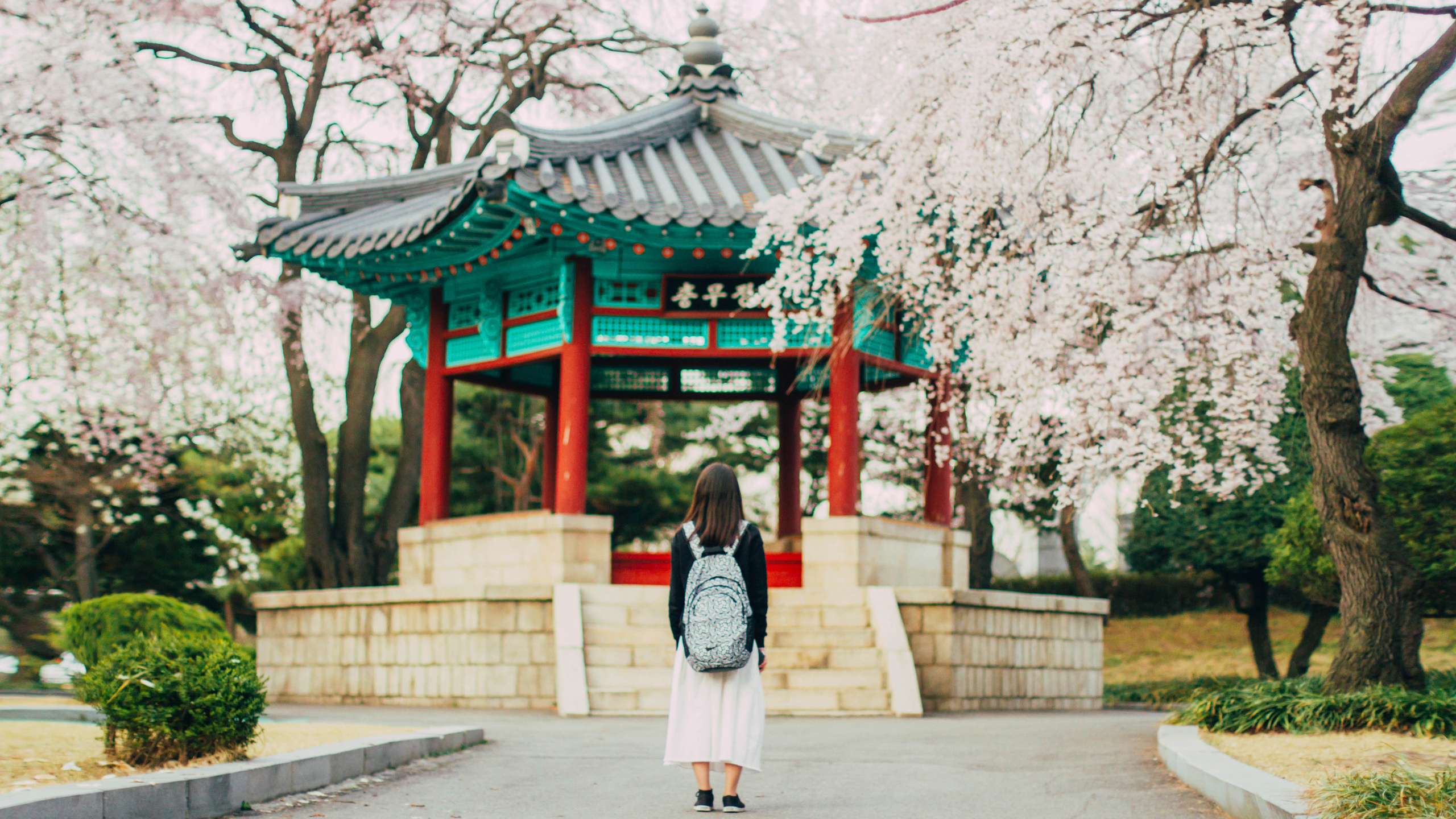 Цветение вишни. Портретный фотограф в Южной Корее Ольга Лян