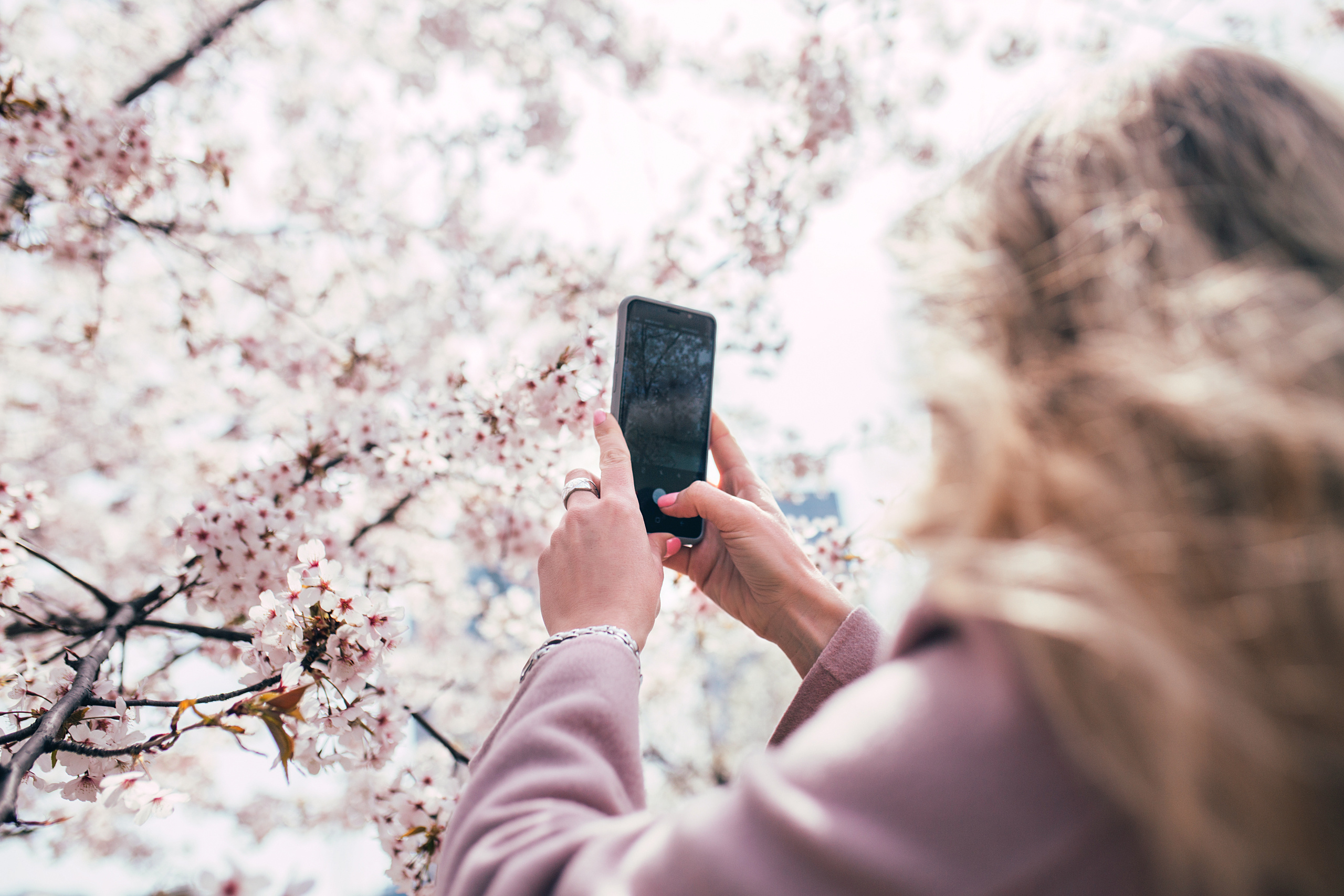 Цветение вишни. Портретный фотограф в Южной Корее Ольга Лян