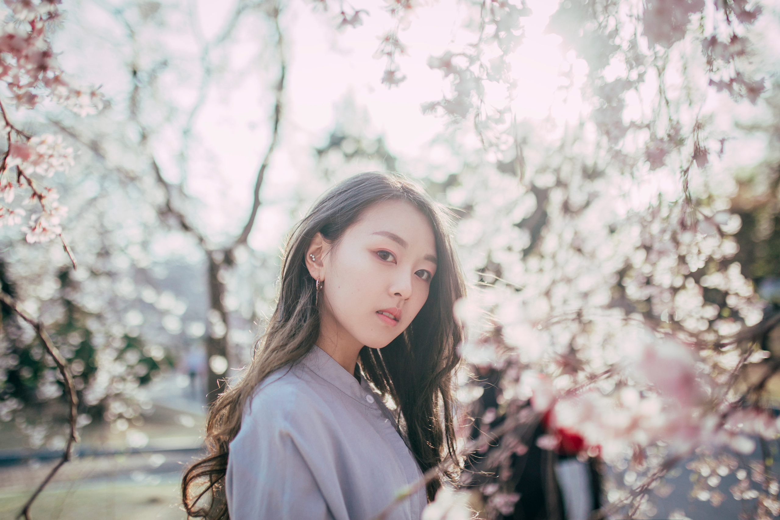 Цветение вишни. Портретный фотограф в Южной Корее Ольга Лян