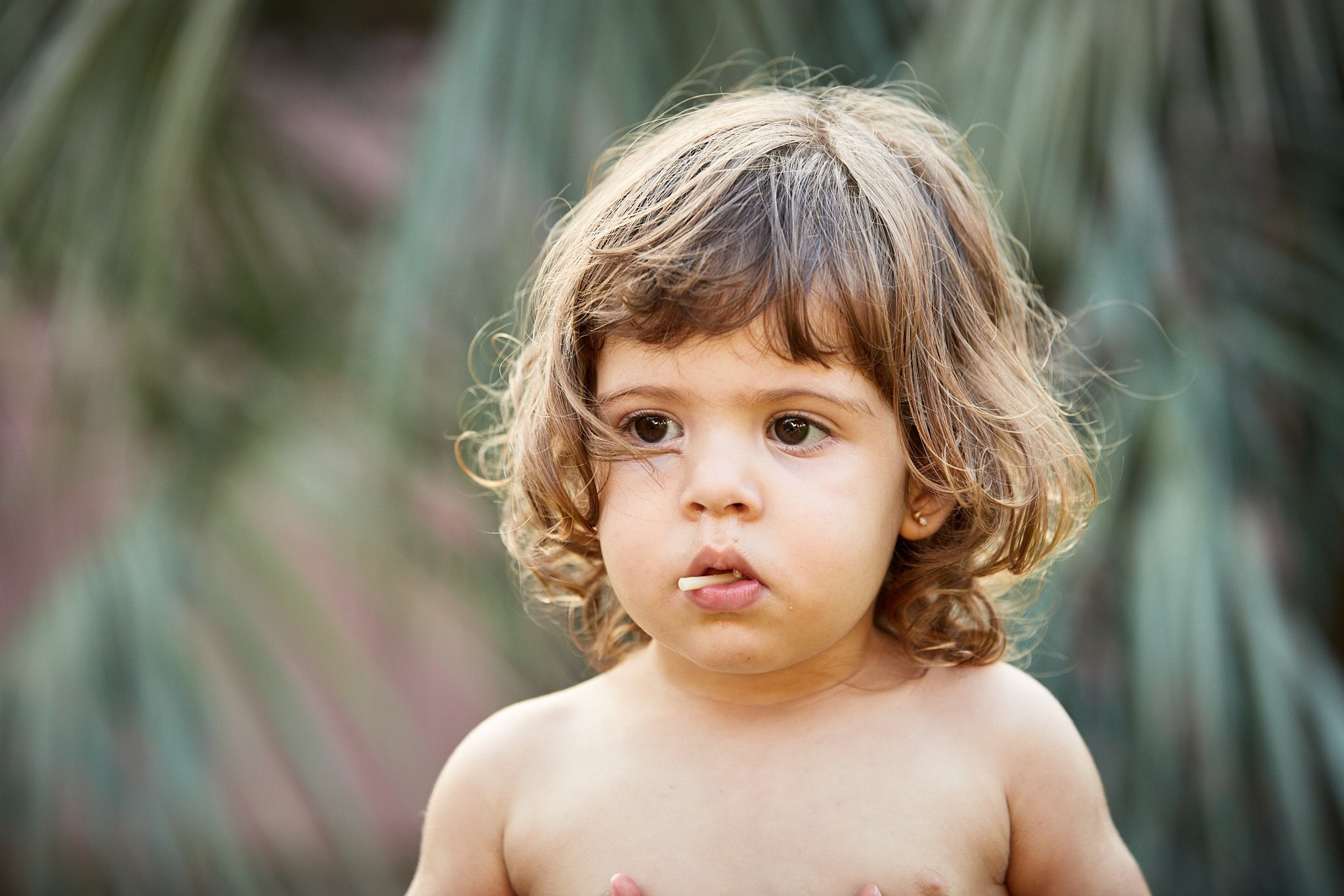 Ensaio Viviane, Sophia, Sara e Gabriel. Fotógrafo de casamentos em Florianópolis