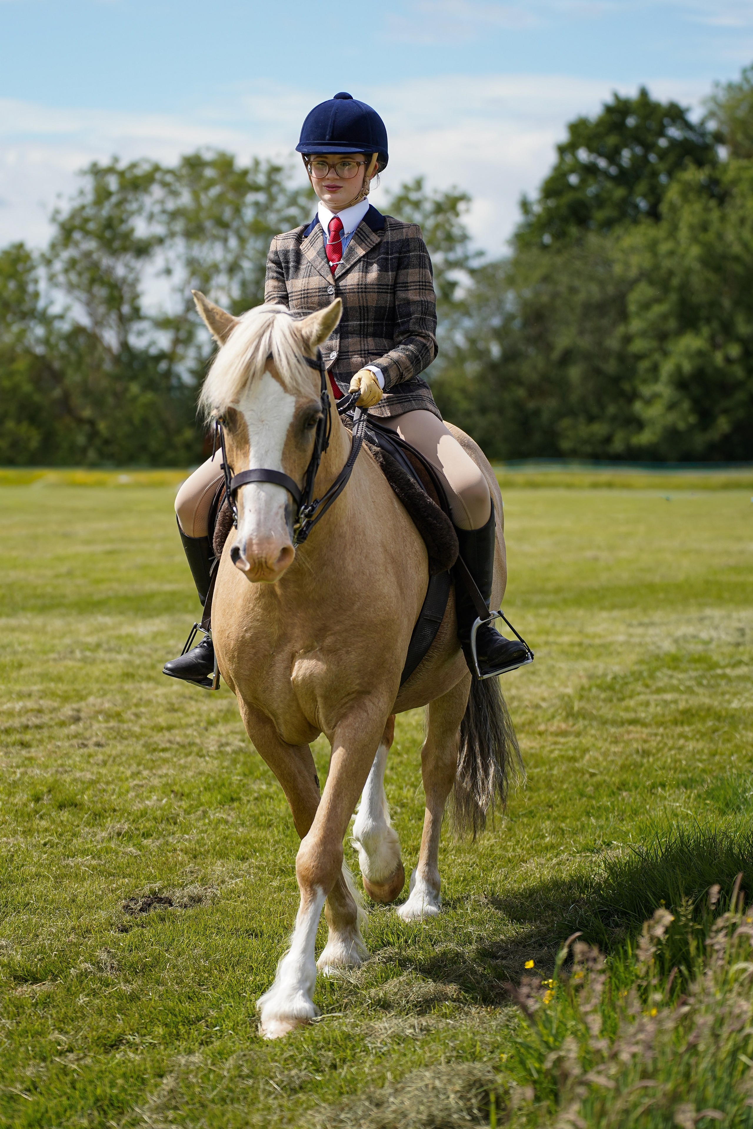 Showing. Leicestershire Equine Photography by El | Authentic Equine Portraits & Events