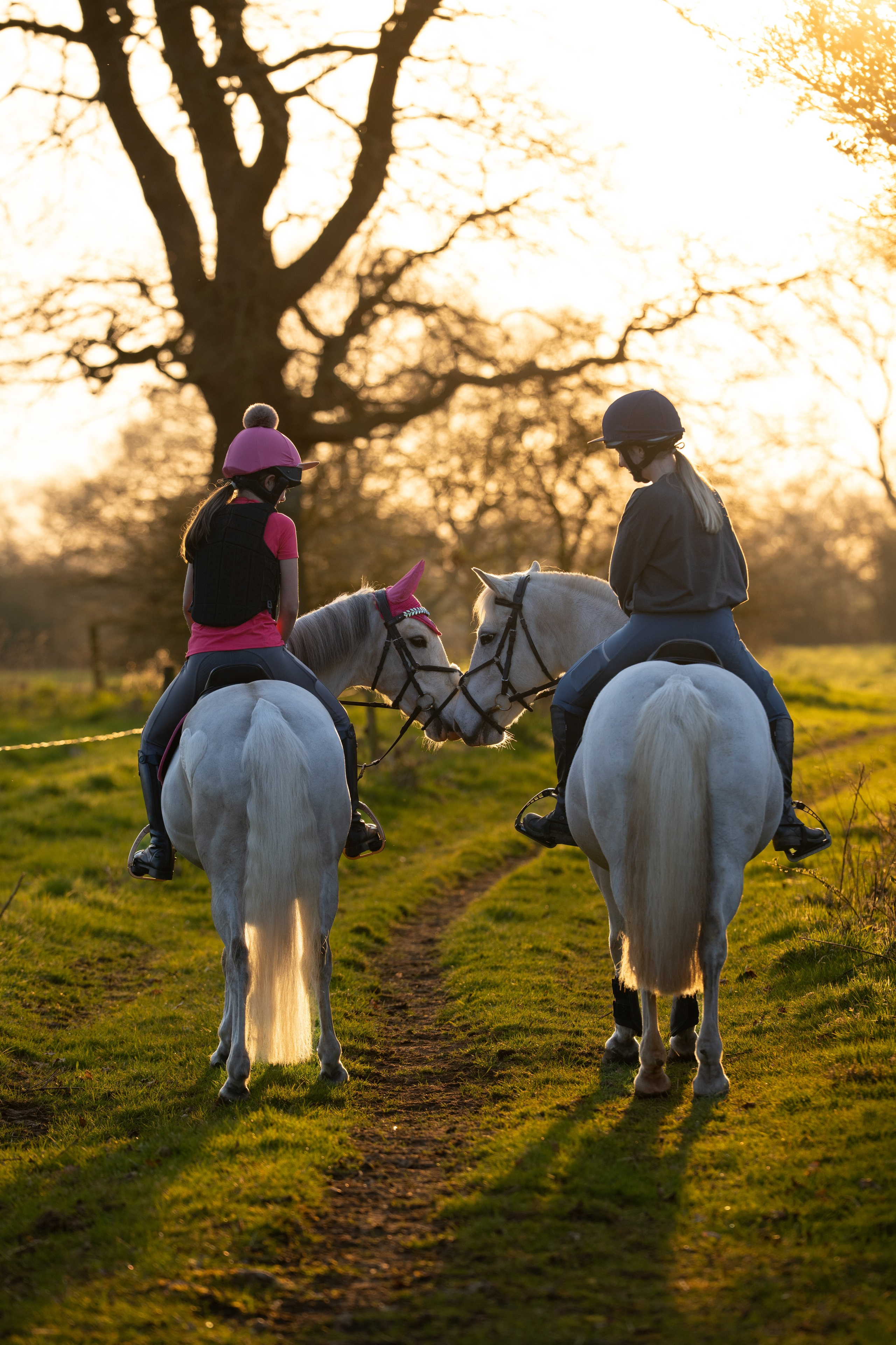 Two riders on white horses during a scenic trail ride at golden hour