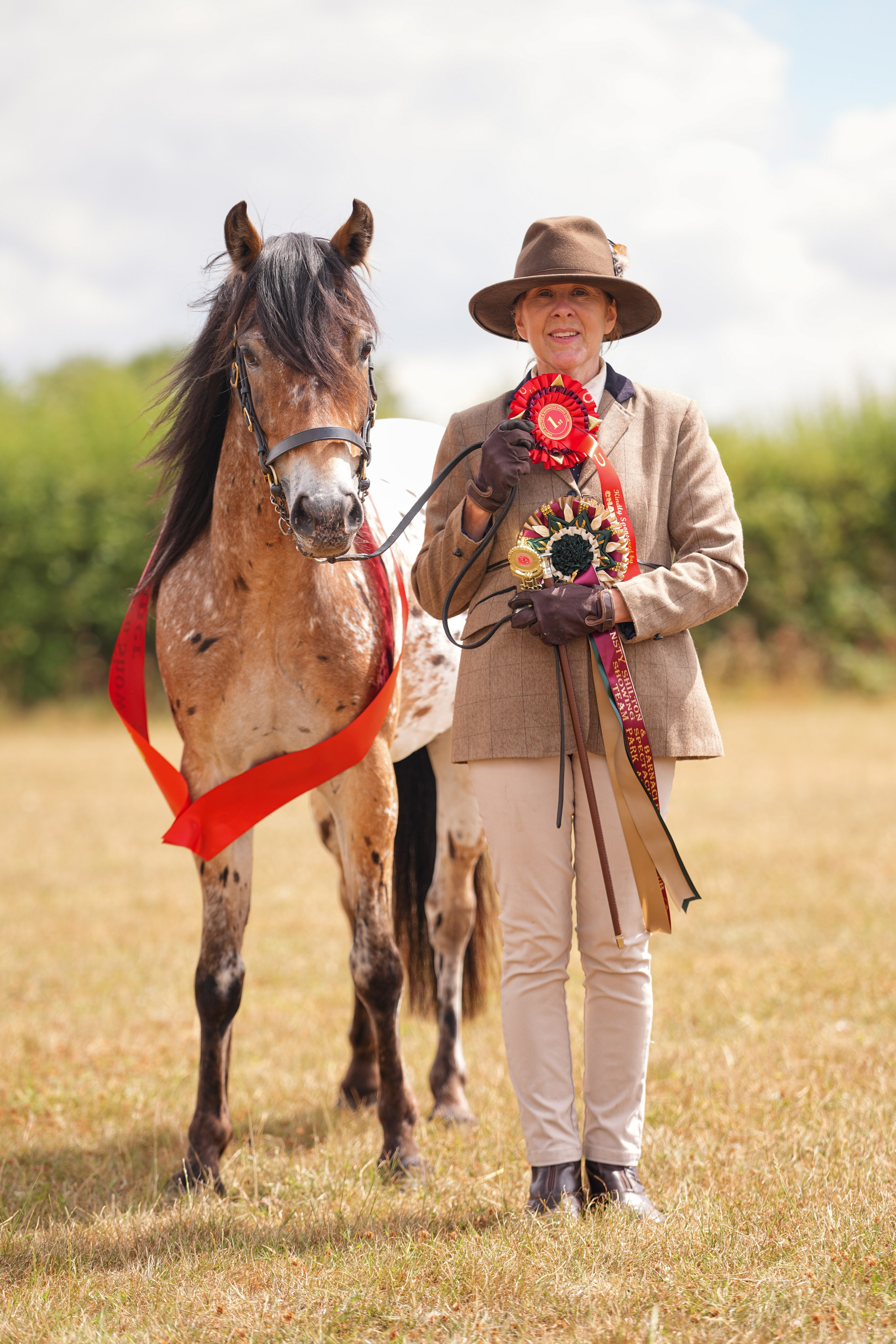 Showing. Leicestershire Equine Photography by El | Authentic Equine Portraits & Events