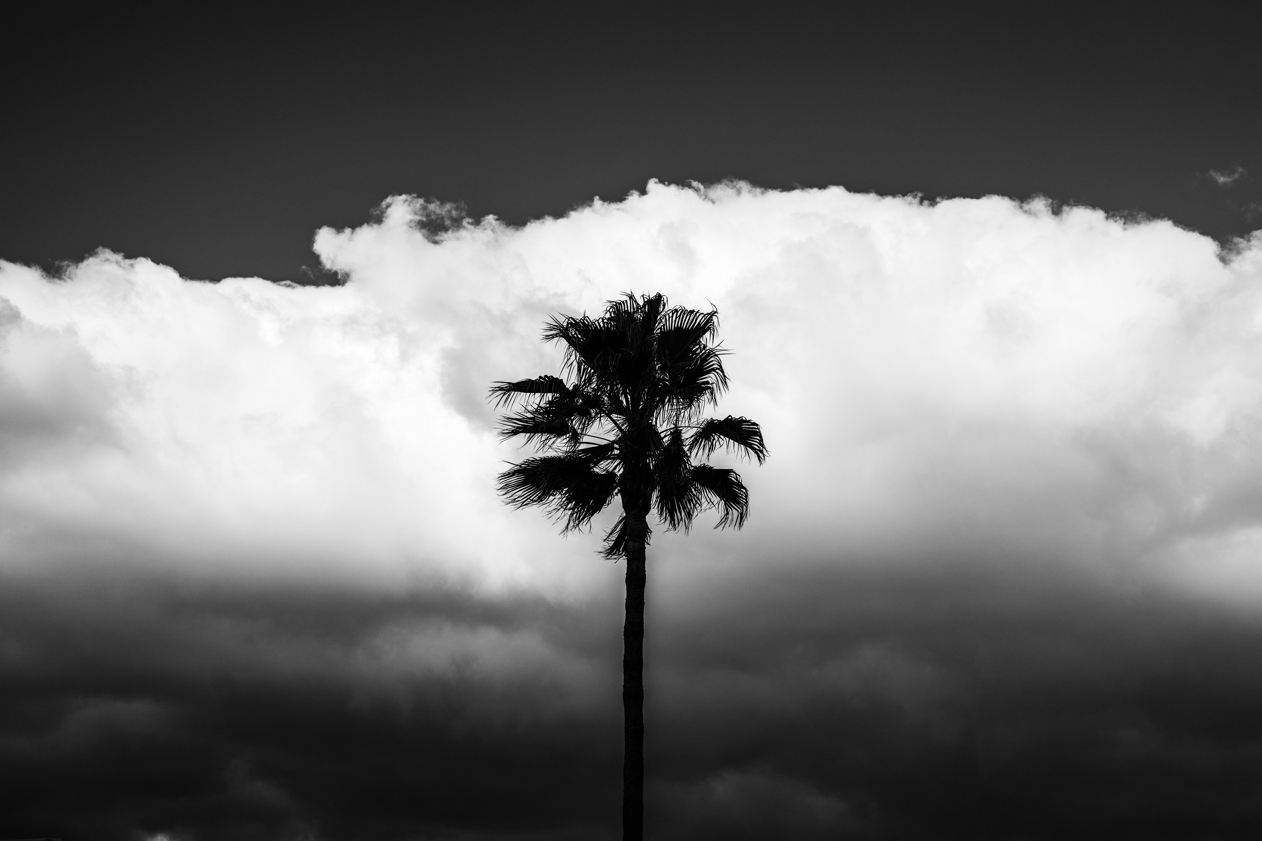 Naturalistica. Frank Prochilo Photography