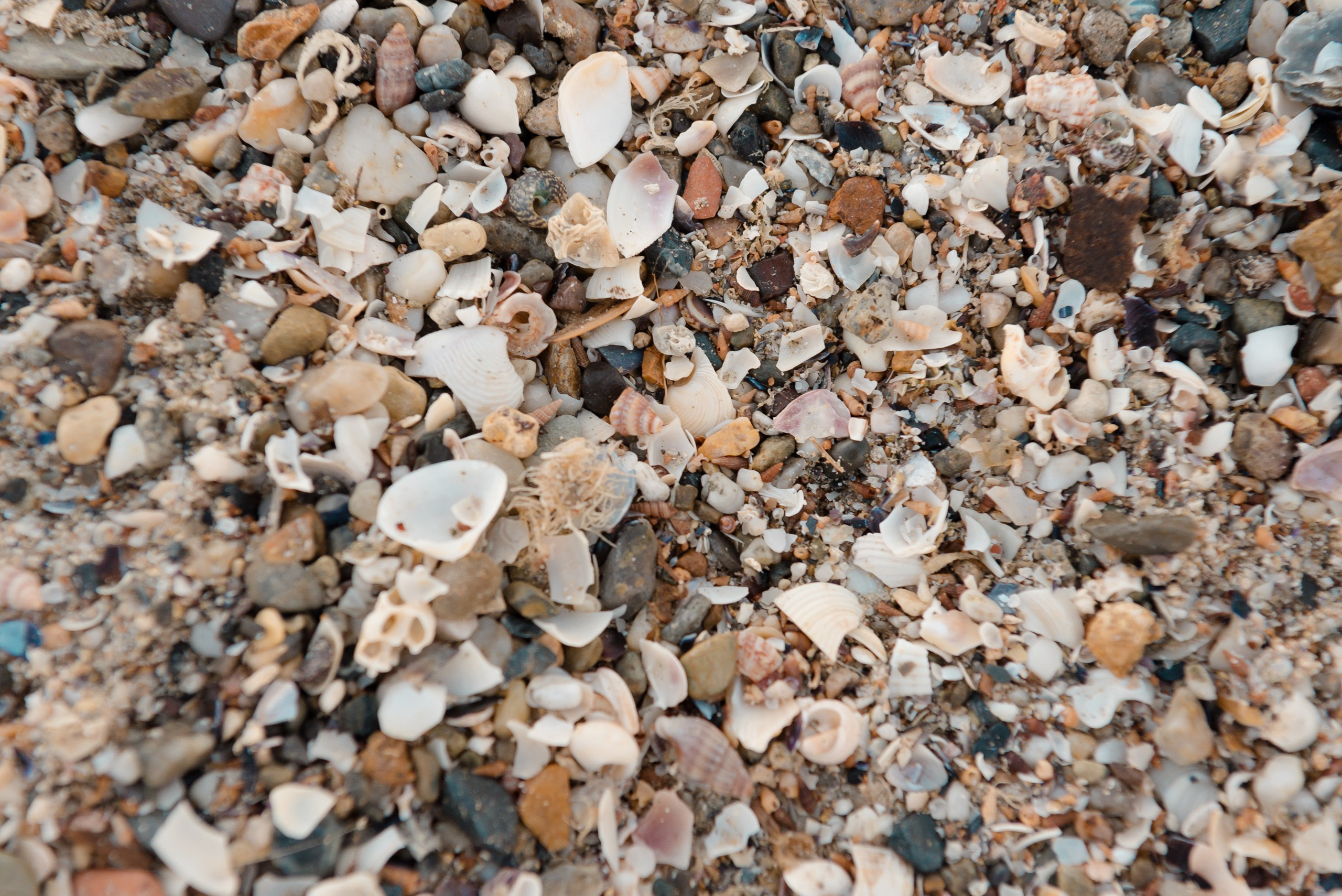 Sesiones de fotos de maternidad y familia de lujo in Estanbul!. MARIA VALUEVA Fotógrafo en Niza, Cannes, Monaco, Francia, Europe, Estambul, Turquía