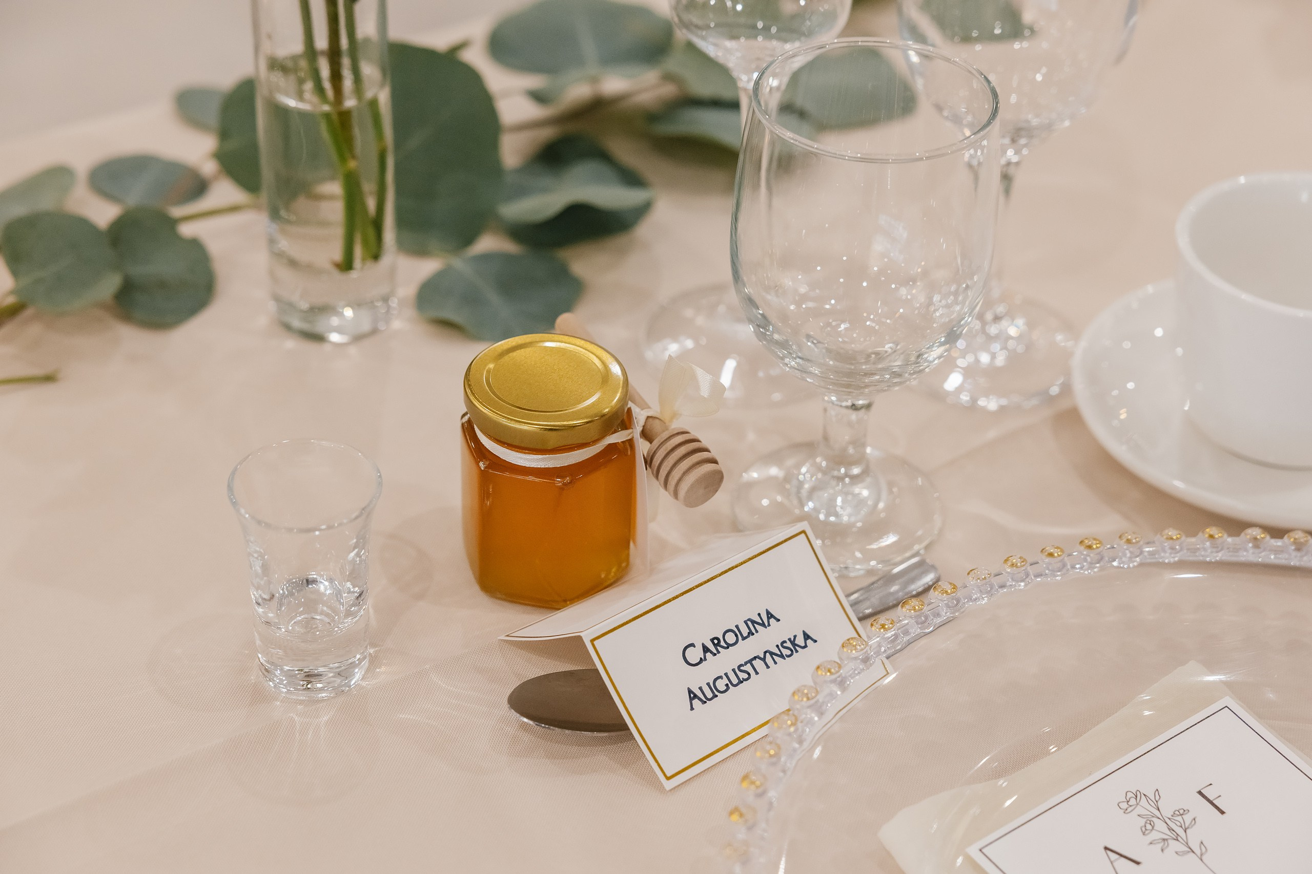 09.06.2025 Wedding. Wedding family event photographer in Chicago Nick Yushevich