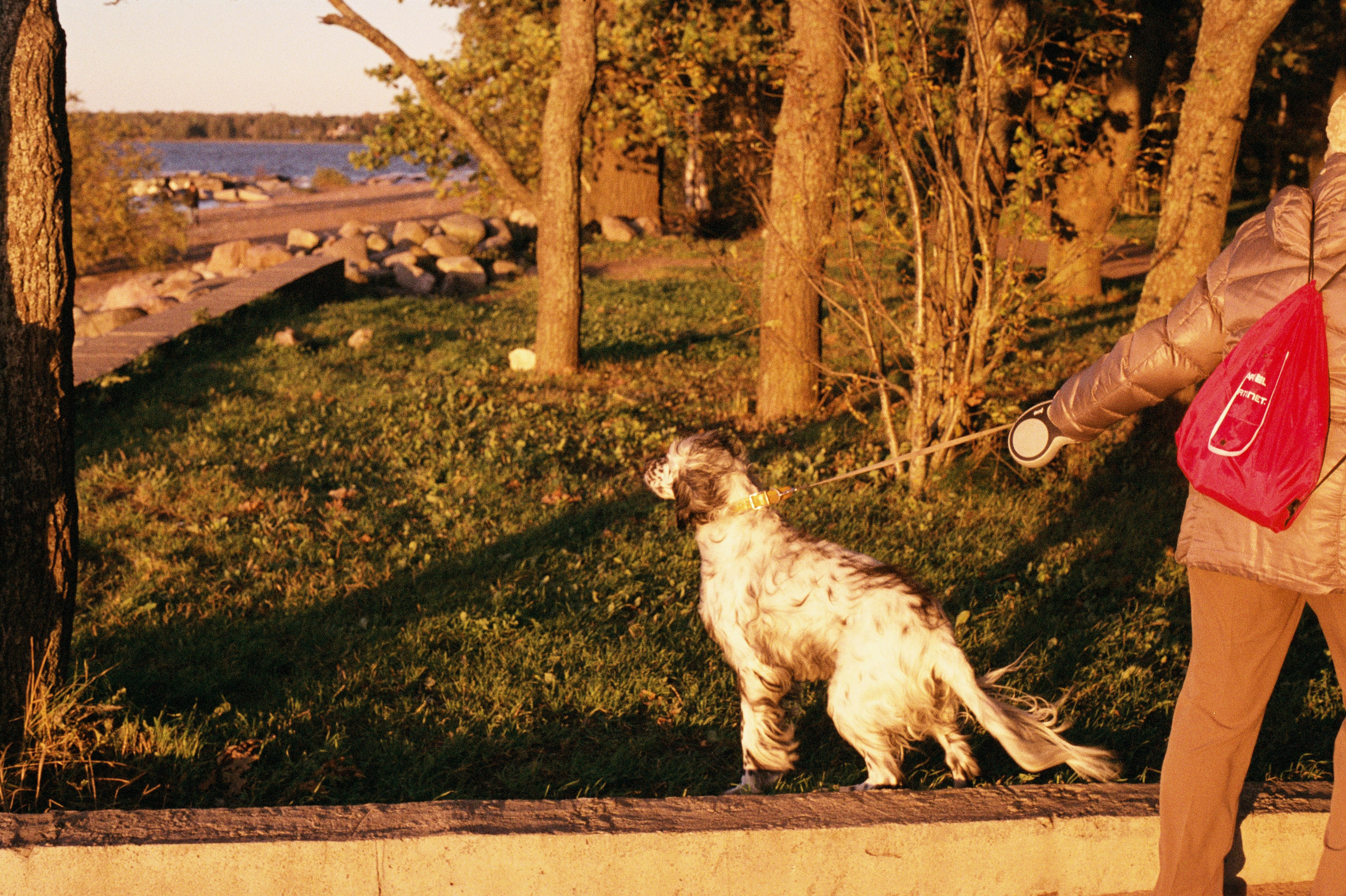 Animals. Elena Zykova film photographer in London
