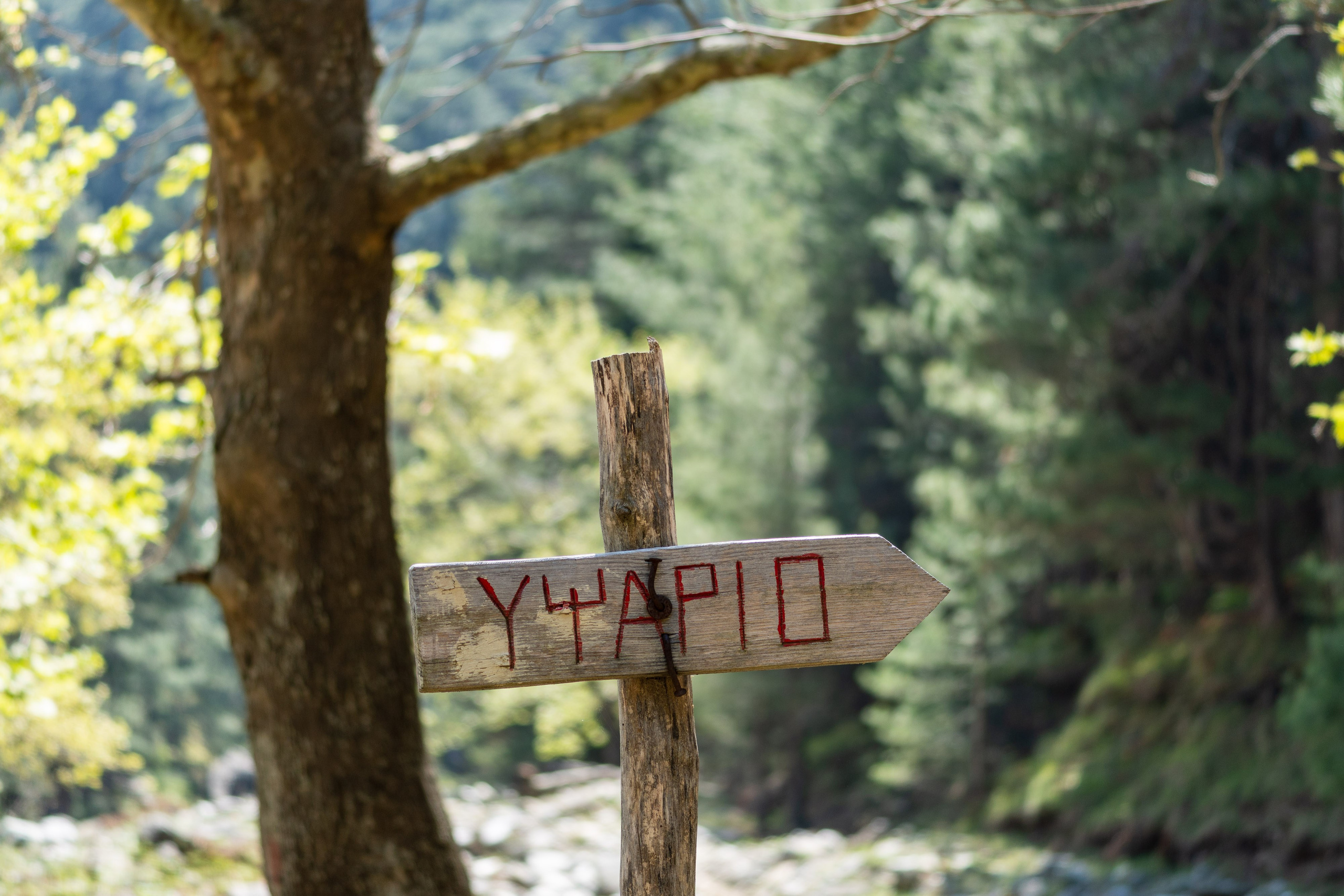 Thasos 2025. Fotografiideplacere.net