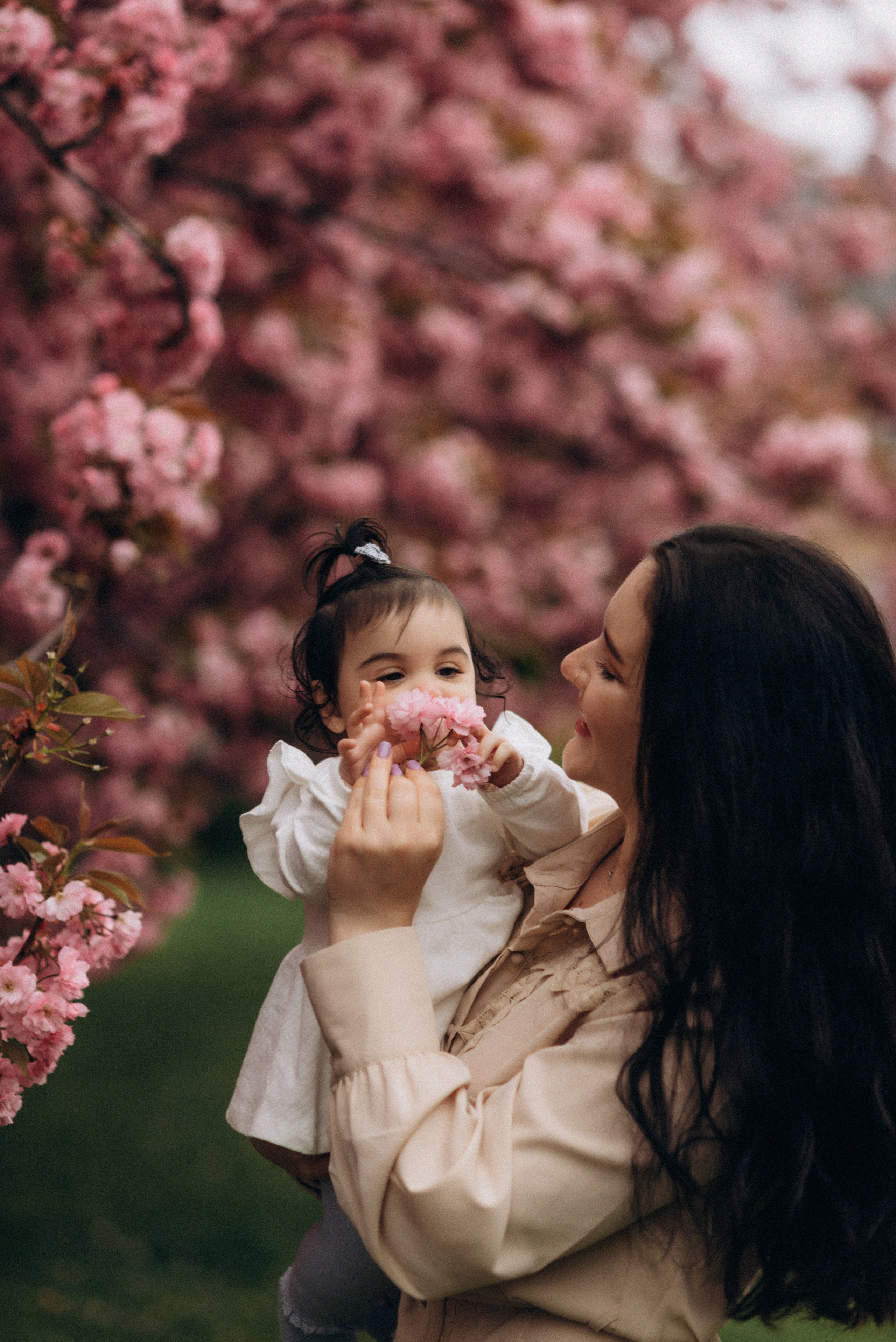 Family history in Sakura. Семейный фотограф Лейпциг, Германия