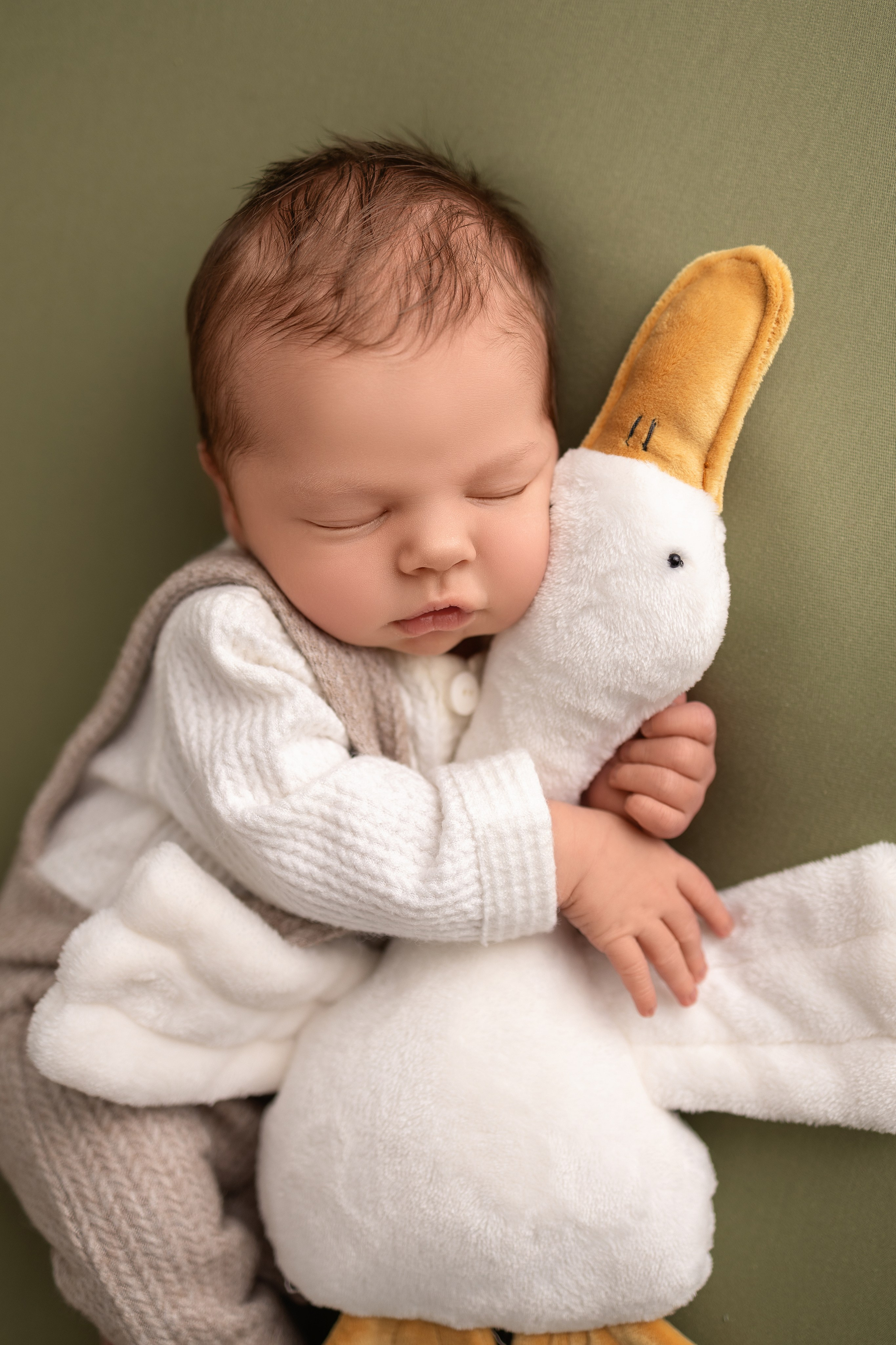 Neugeborene. Neugeborene- Schwangerschaft- und Kinder Fotografin in Lehre