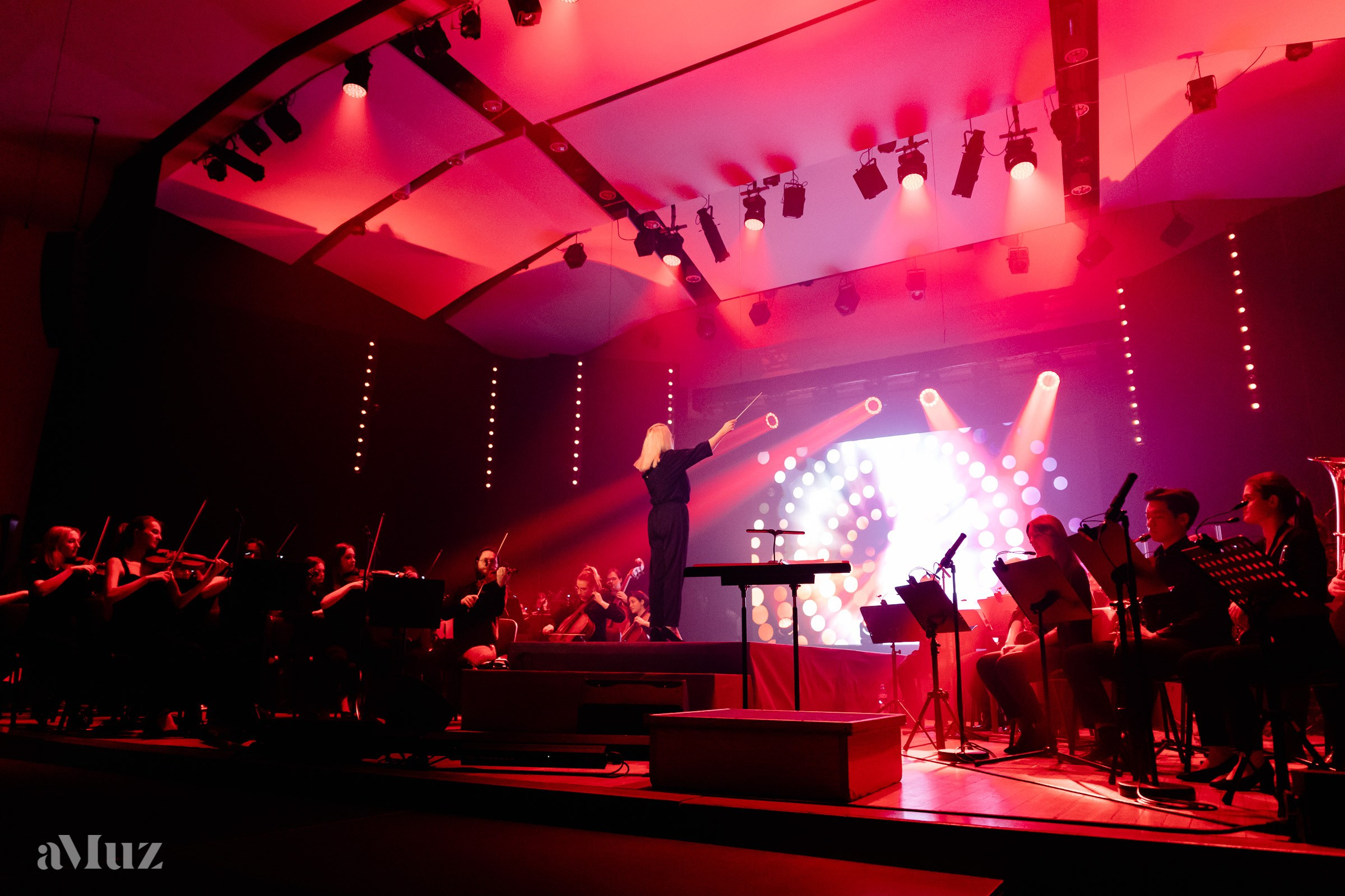 Koncert Amuz.pl. Fotograf Ślubny Warszawa - Sesje Biznesowe Rodzinne Eventy