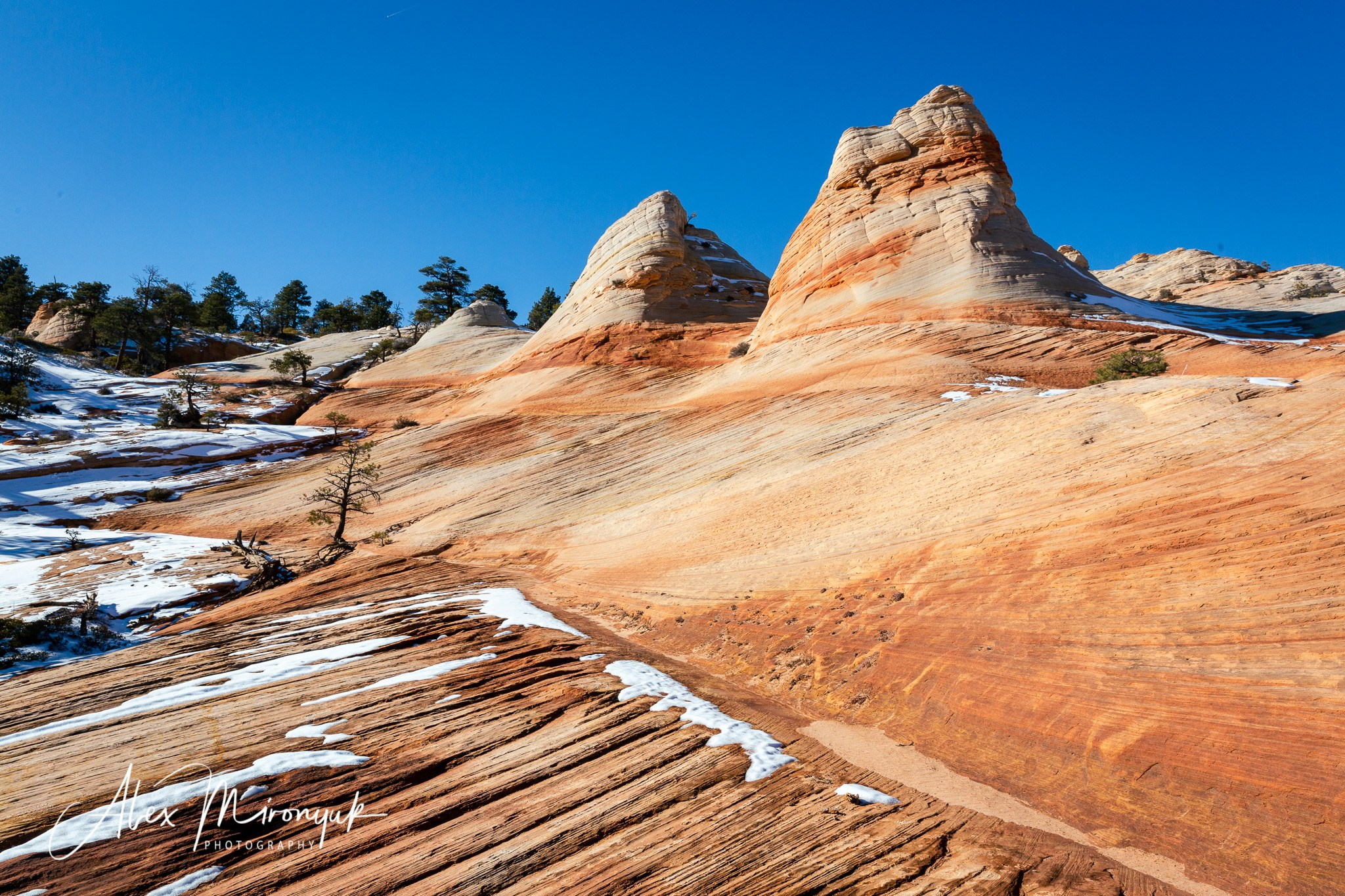 New Year In Utah. Pet, Senior, Landscape, portrait studio, photographer in Miami and Sou