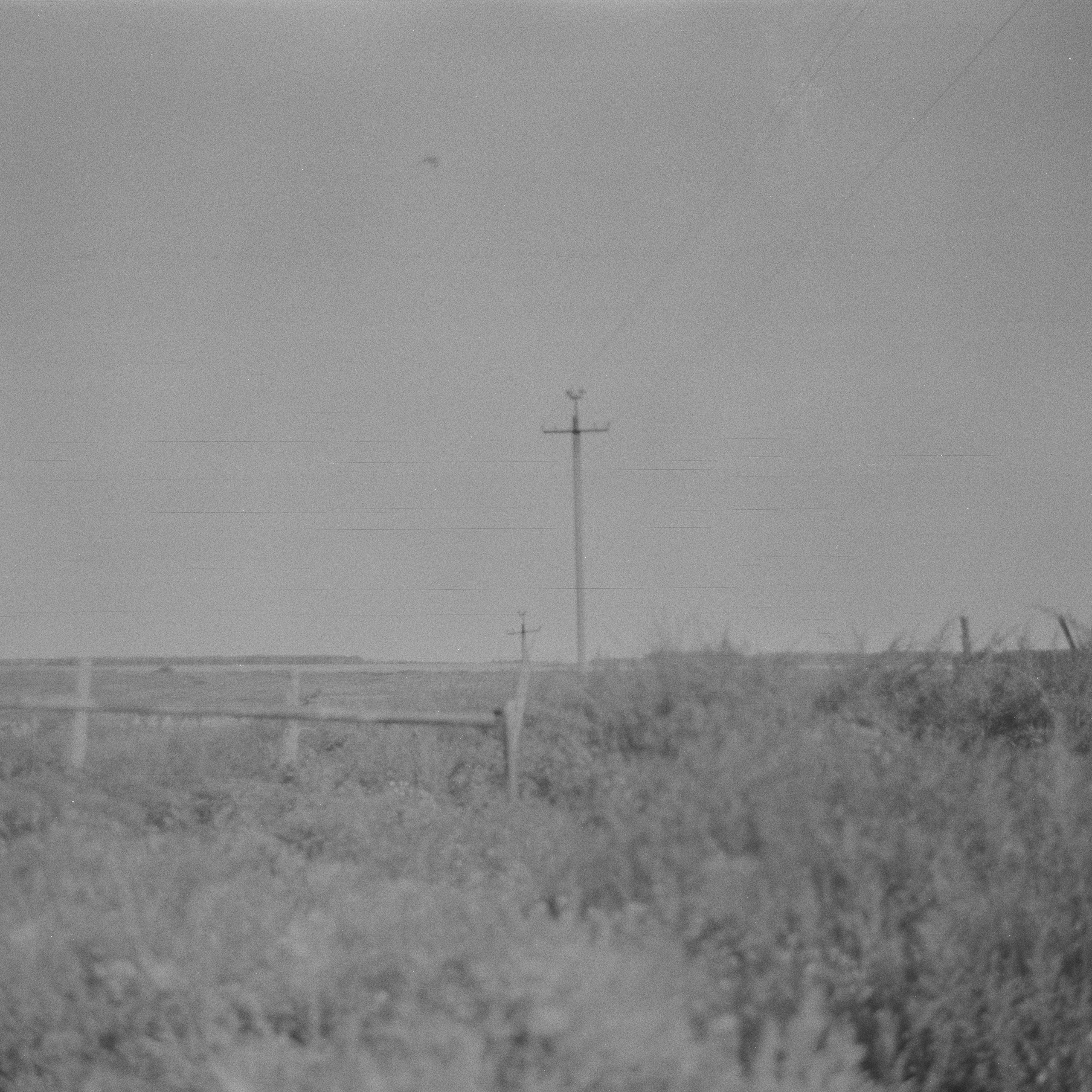 Grandmother. Ekaterina Fedorova