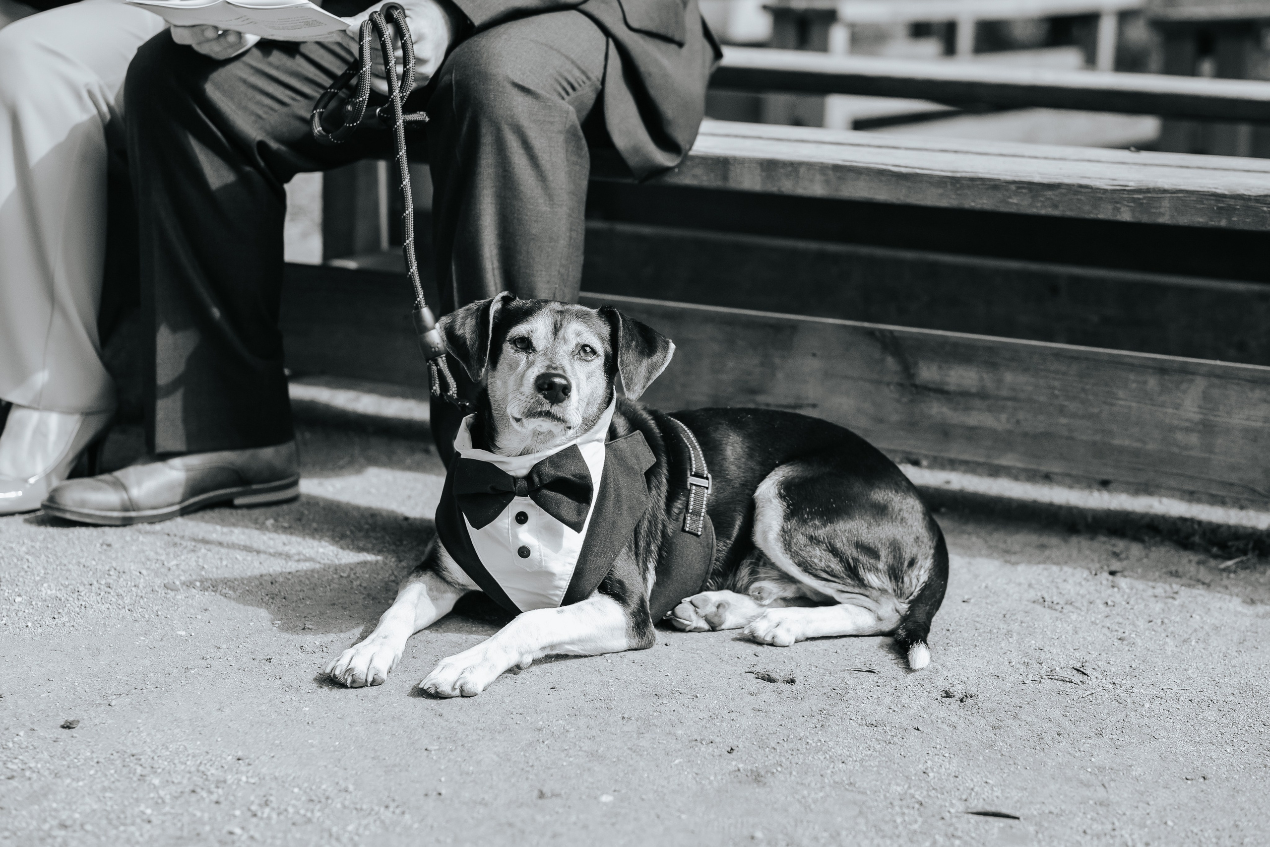 Marta+Adria, 27.09.2025, Can Caballe. Wedding photographer in Catalonia