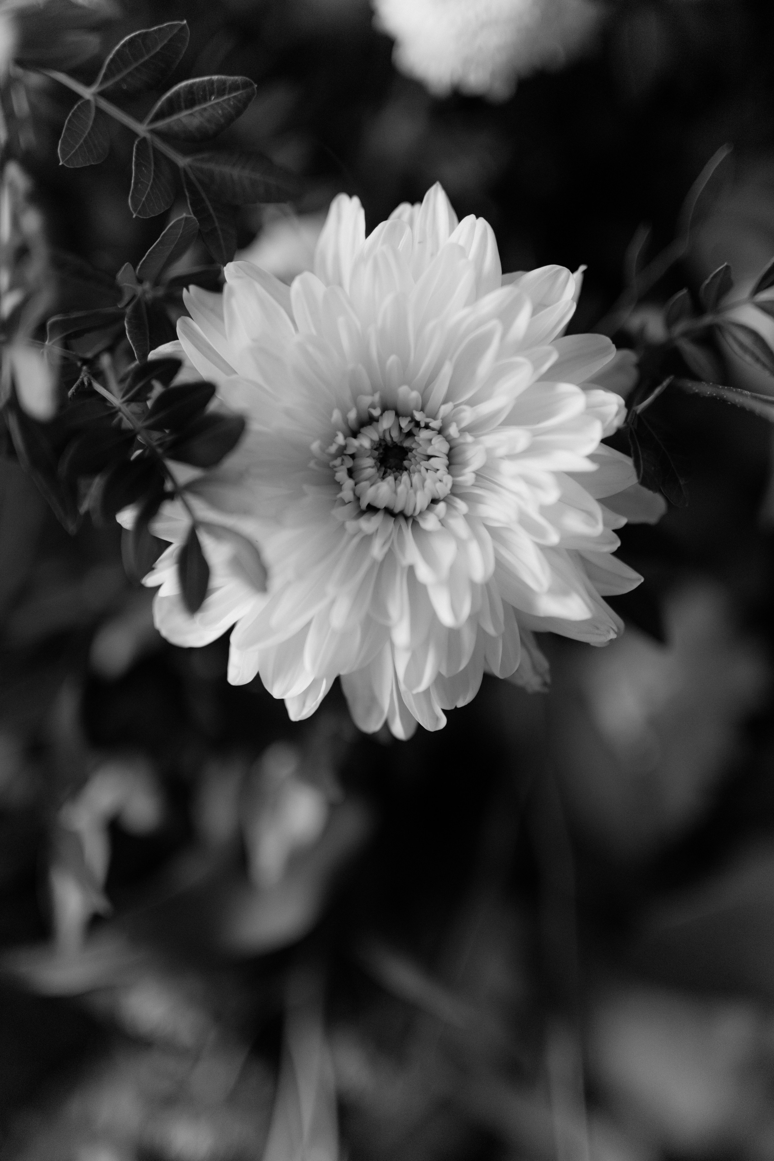 Ekateryna&David wedding in Tuscany. Весільний фотограф Вікторія Саврук