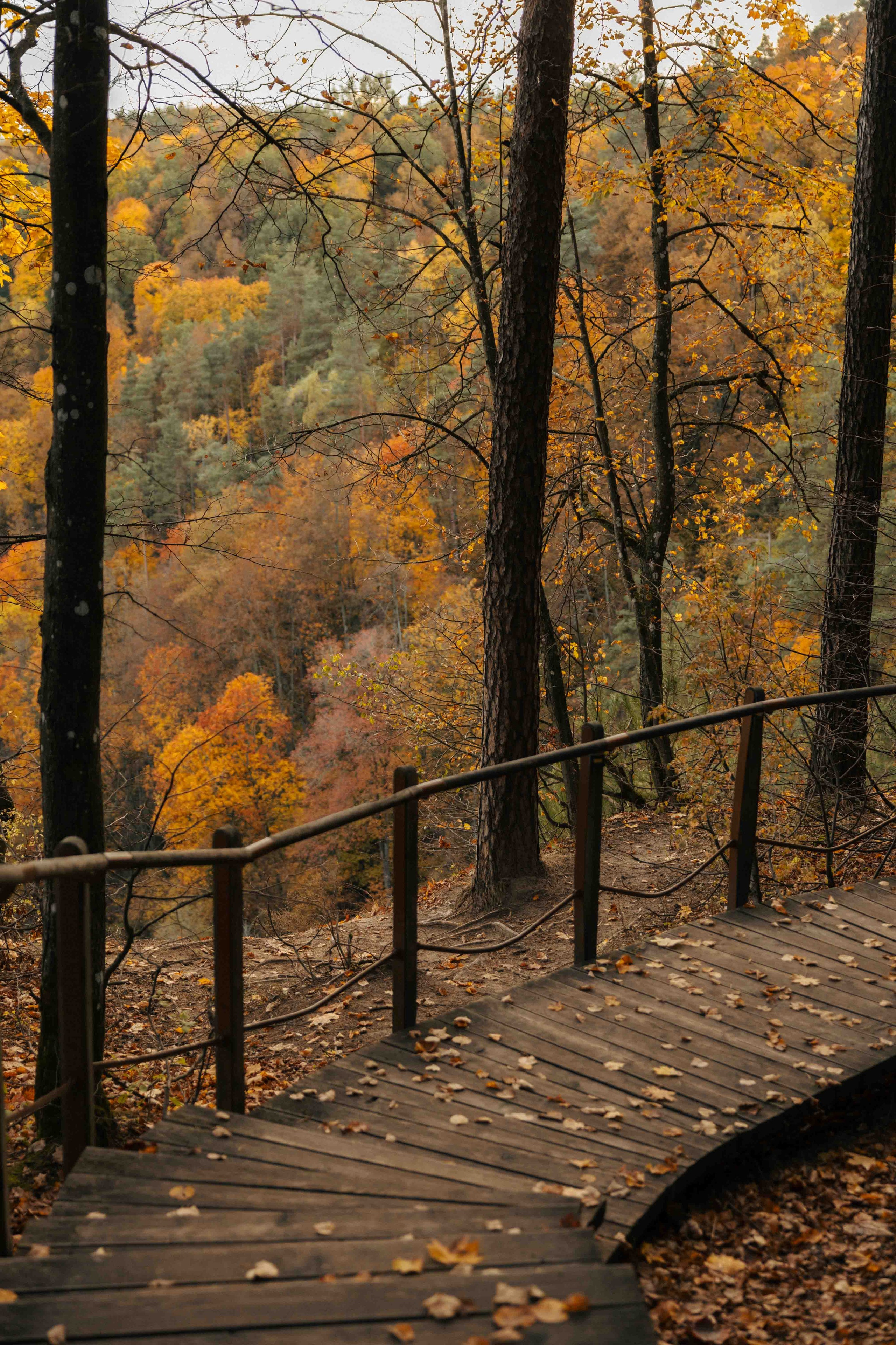 Best Autumn Photoshoot Locations in Vilnius: Top Spots to Capture the Fall Colors. Framed by Evelina | Destination Wedding Photographer from Lithuania | Europe