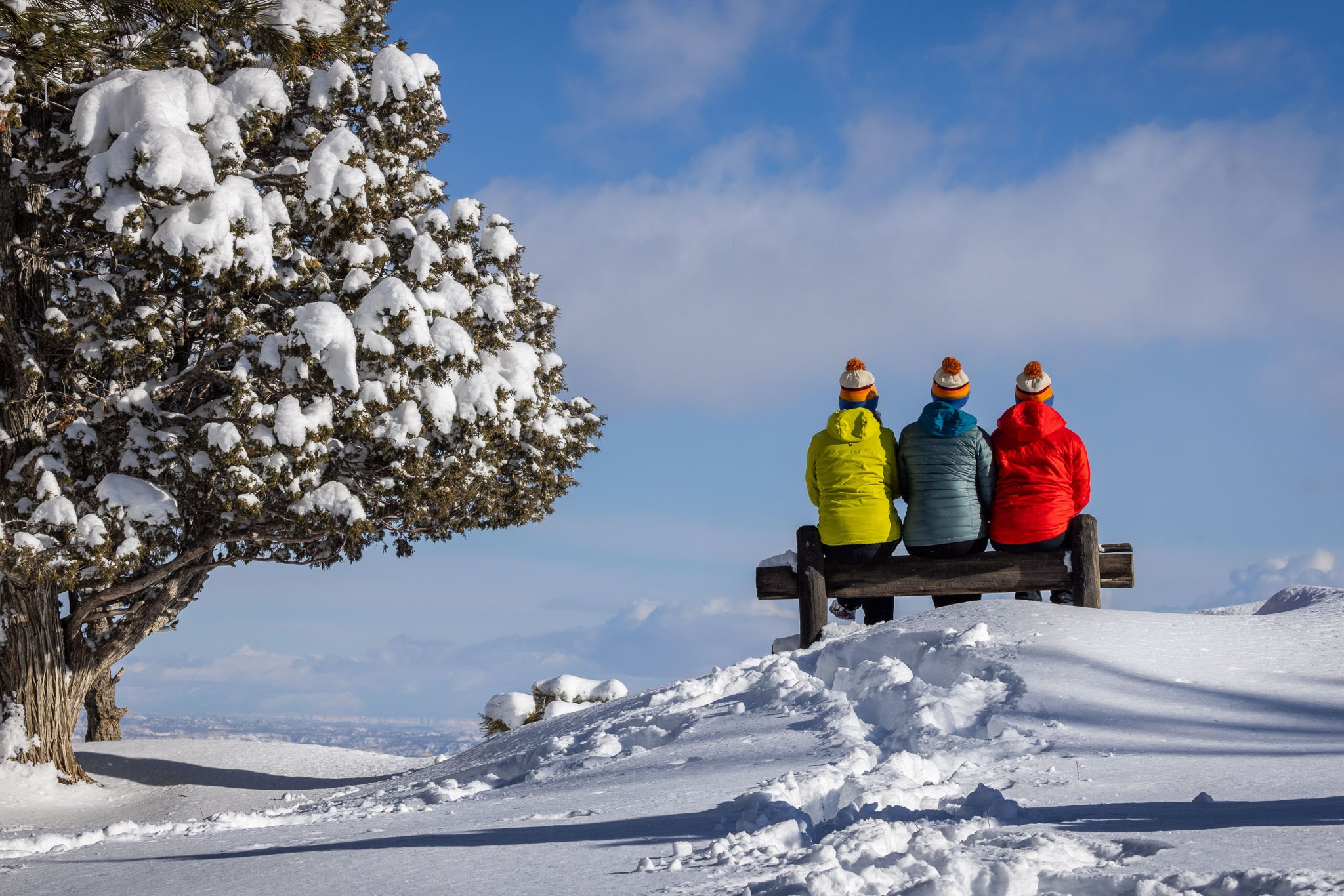 New Year In Utah. Pet, Senior, Landscape, portrait studio, photographer in Miami and Sou