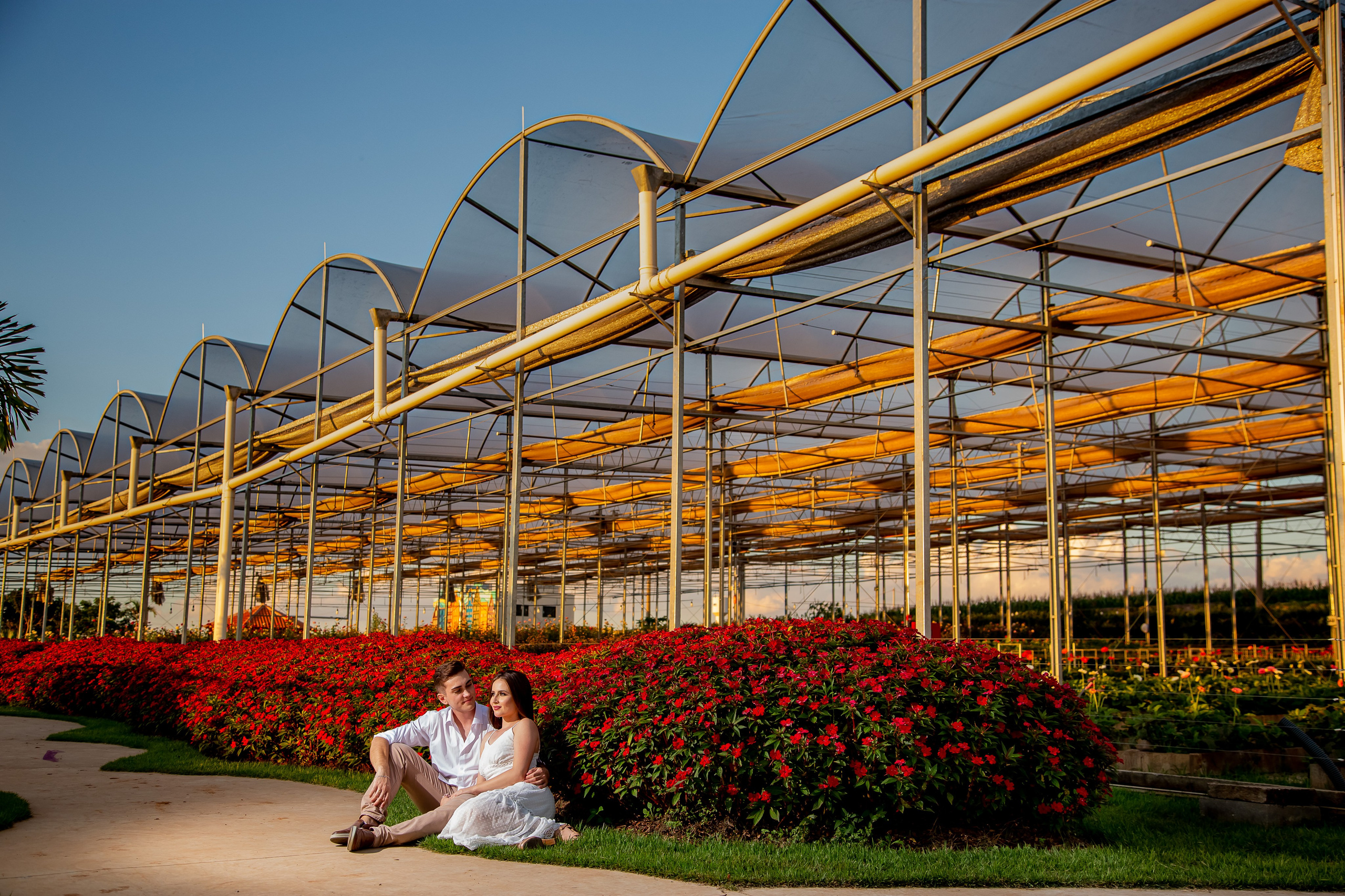 ensaio holambra pre wedding