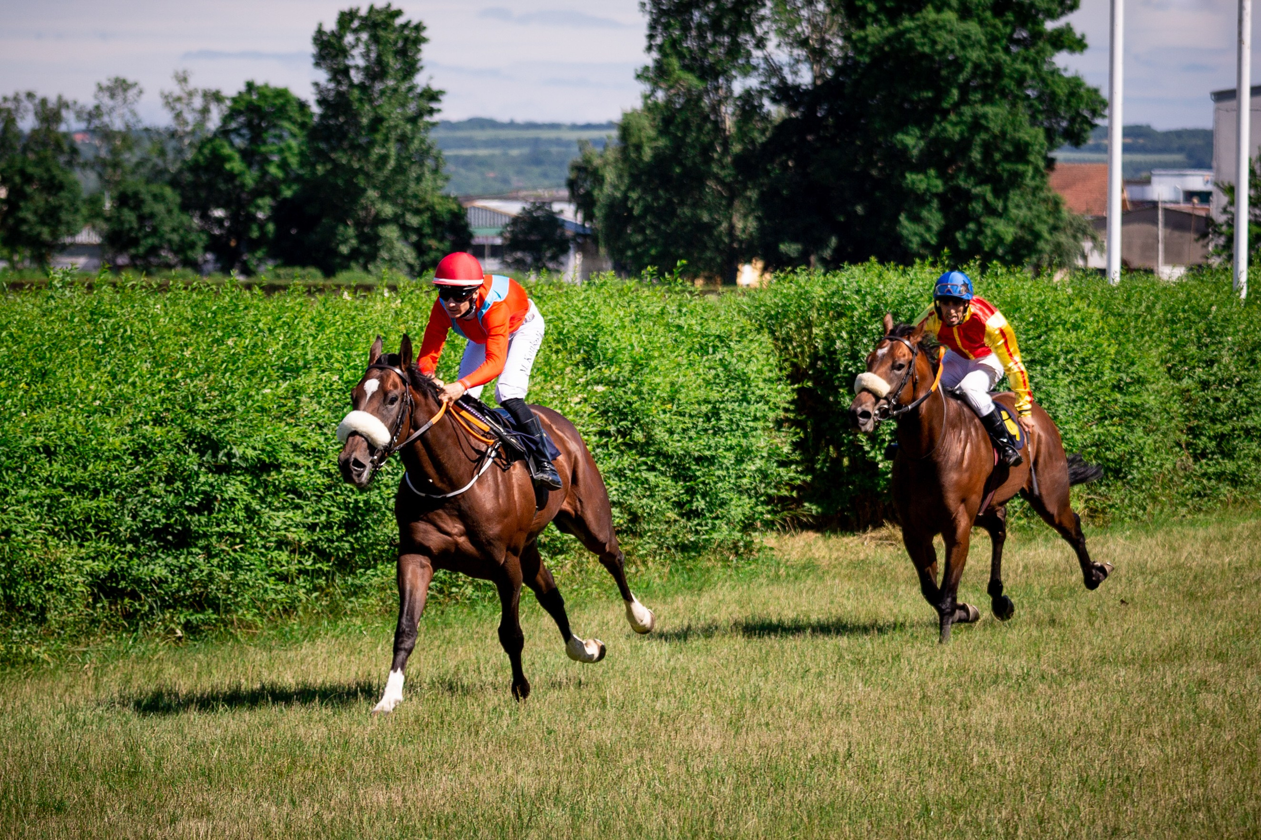 Konjičke trke u Požarevcu. Fotoivanpancevo