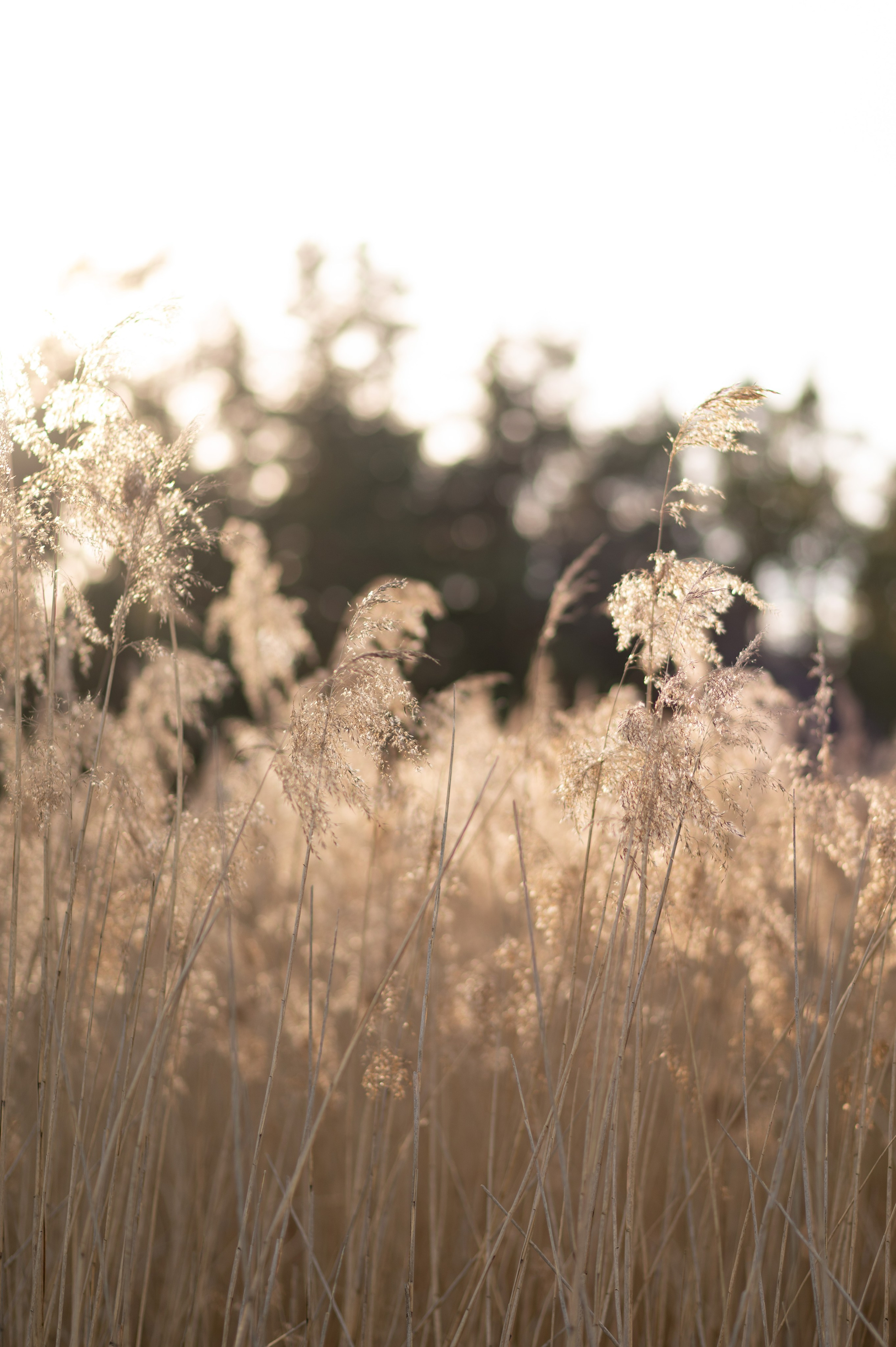 Business Shooting in Ansbach. Fotografin Ansbach - Paare | Hochzeit | After Wedding