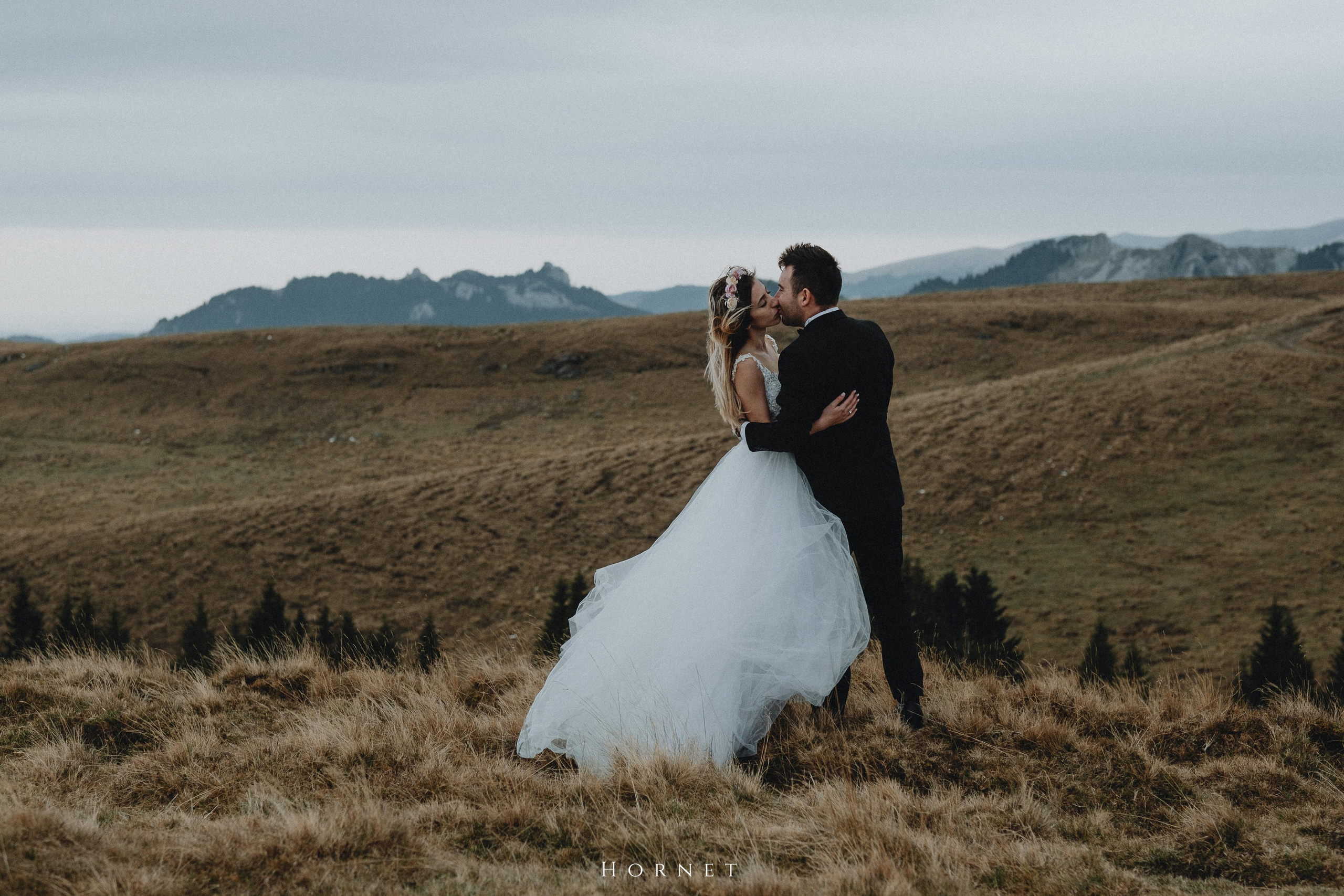 Petronela + Ionut. Hornetart
