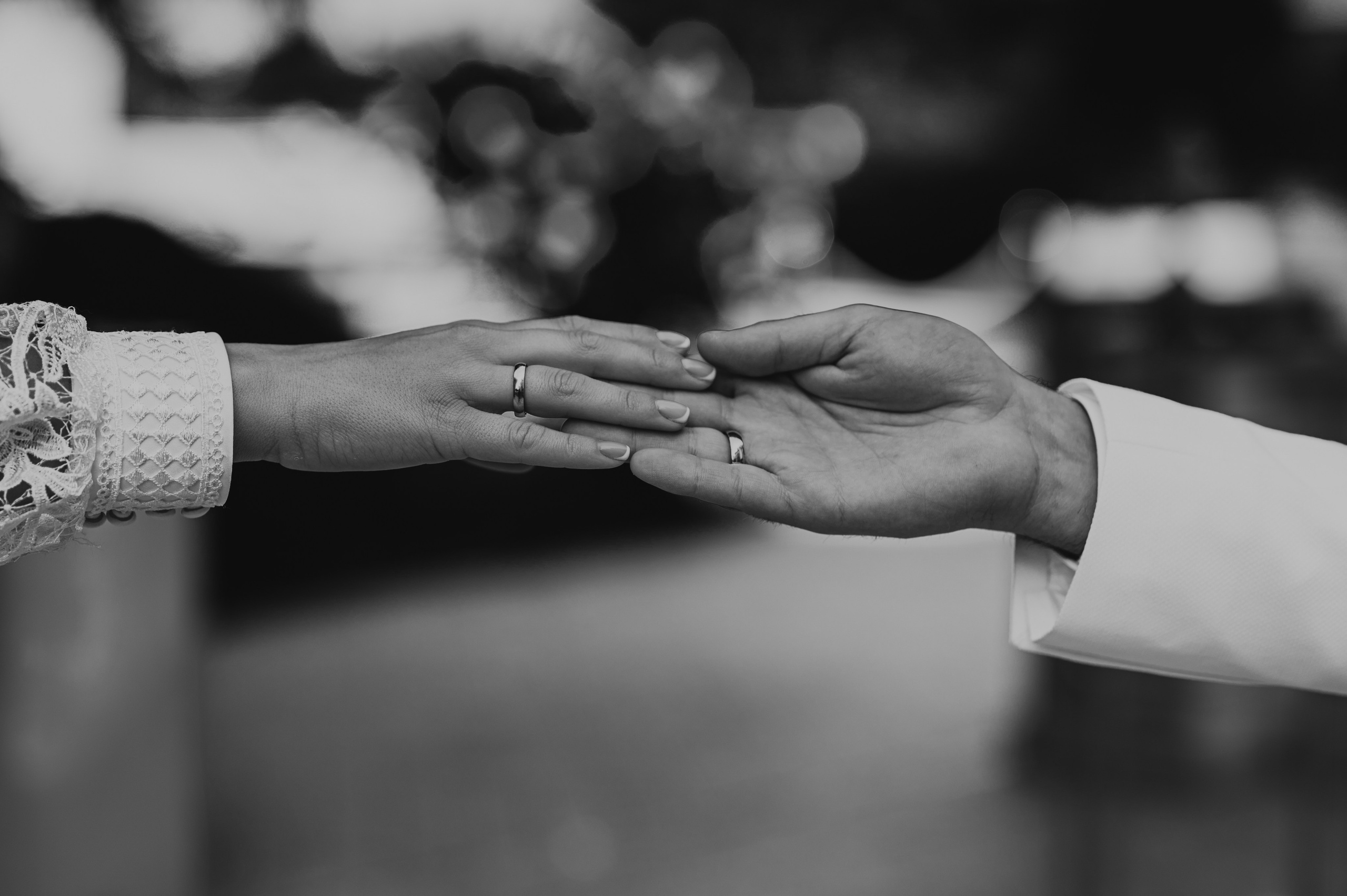 *. Wedding and family photographer San Diego